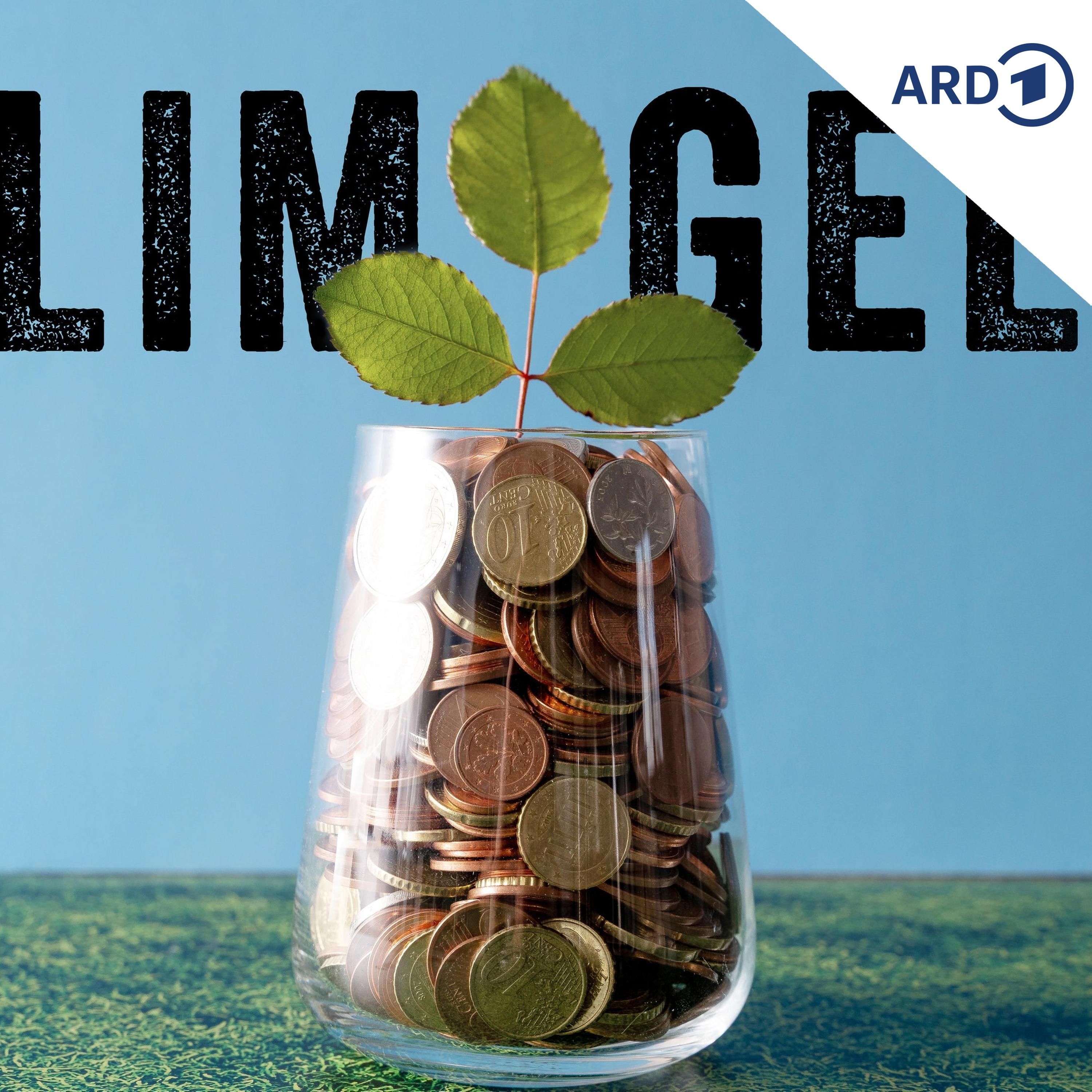 Wo bleibt die Entlastung bei der CO2-Steuer?