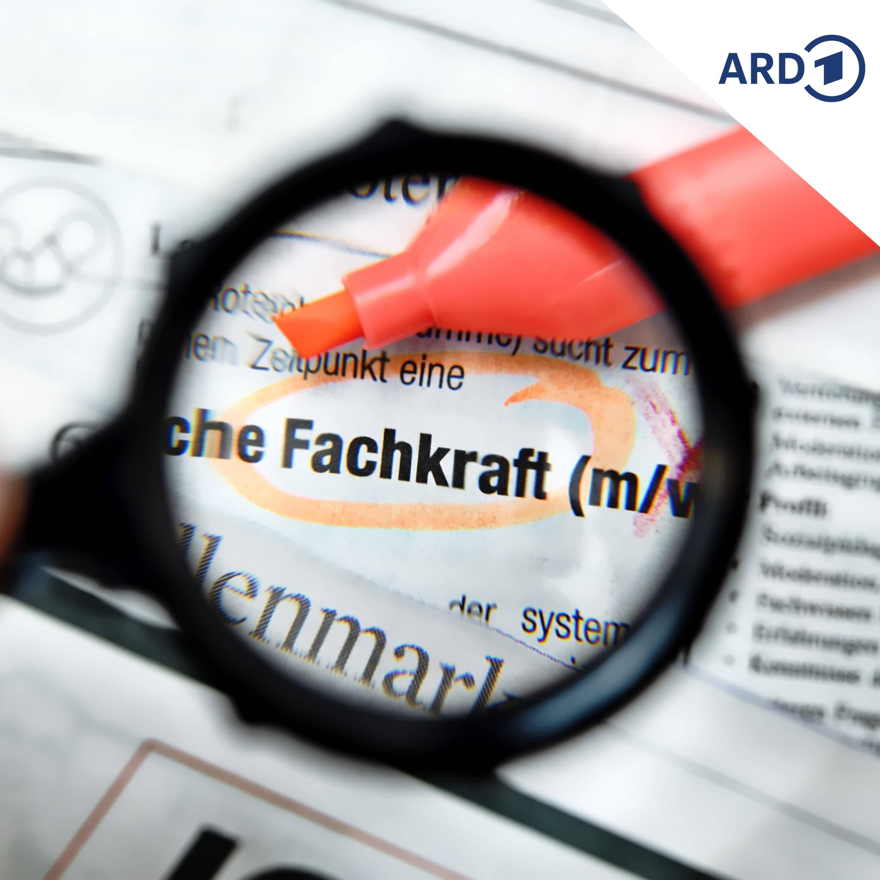 Debatte um Zukunft der Fachkräfte-Agentur in Sachsen