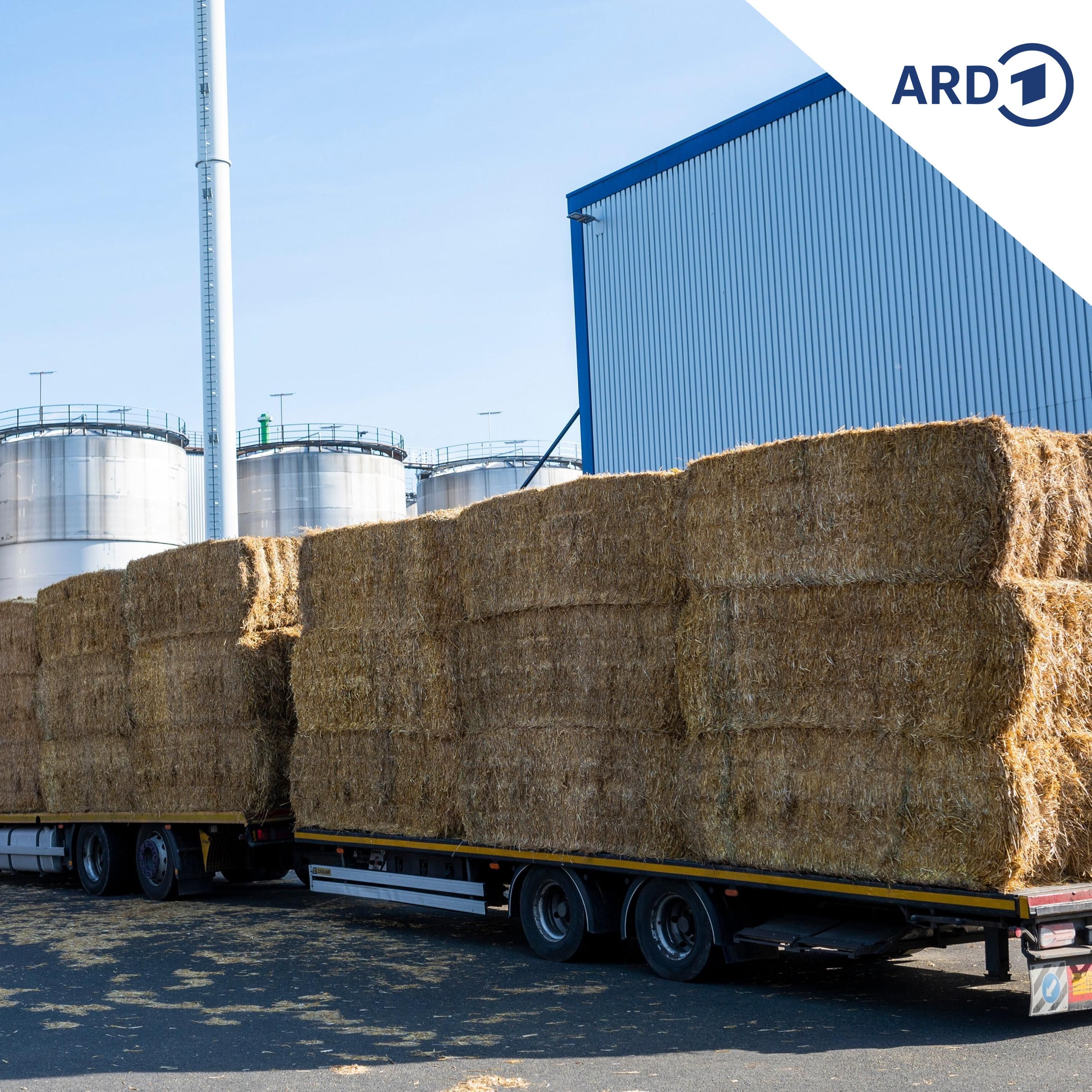 Neues Heizungsgesetz: Ostdeutsche Biogas-Produzenten zufrieden