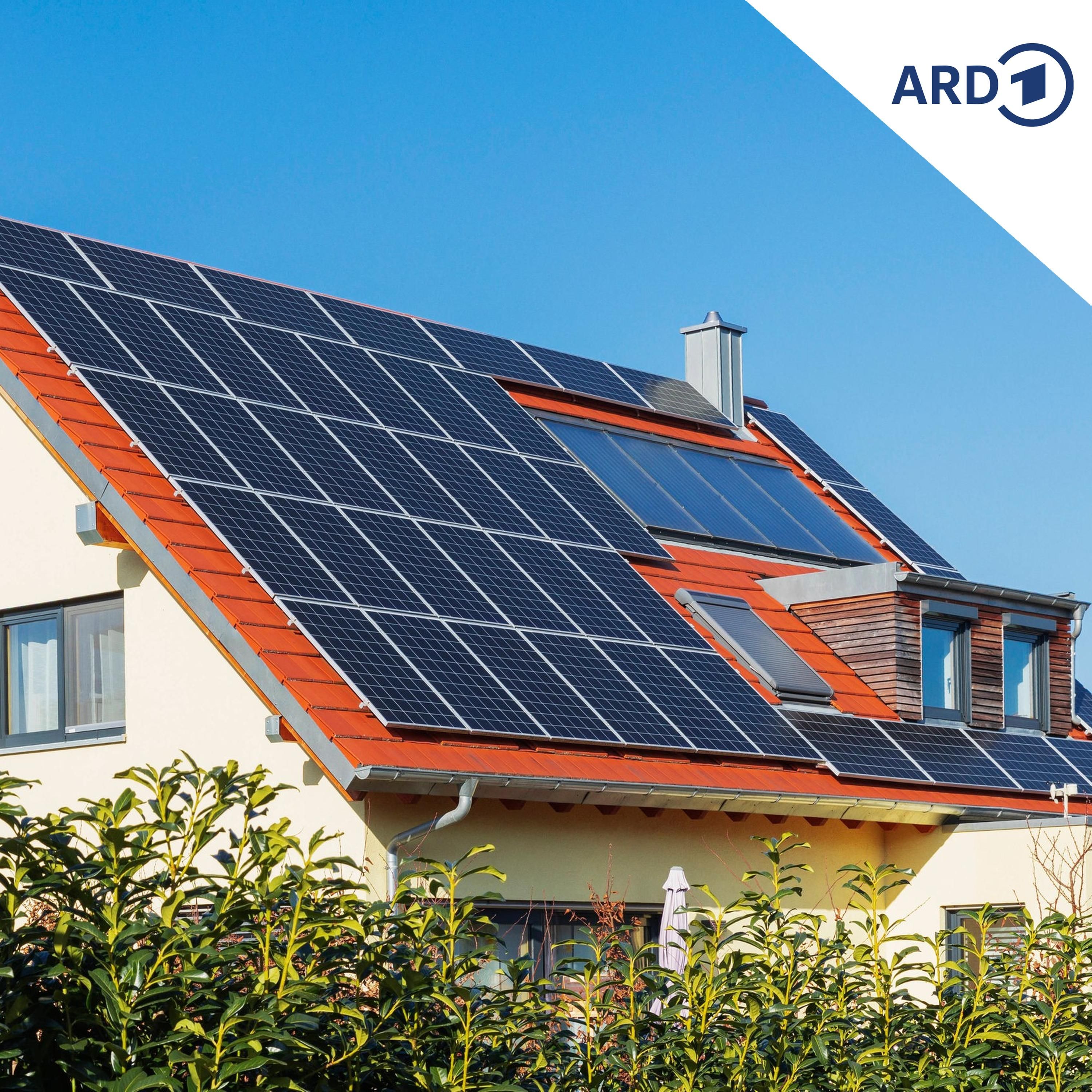 Solarboom: Mitnetz kommt mit Auszahlung nicht hinterher