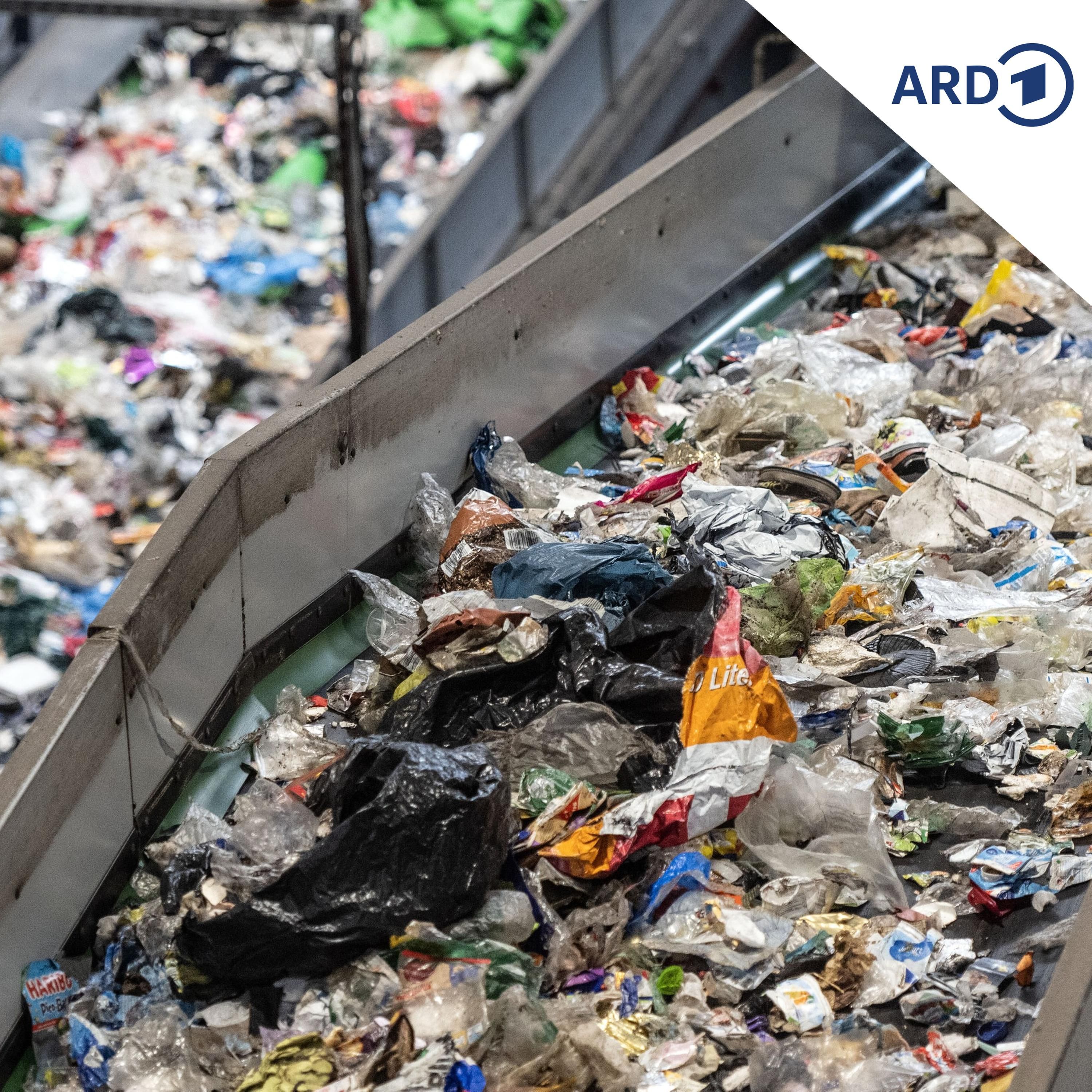Ein Enzym frisst Plastikmüll