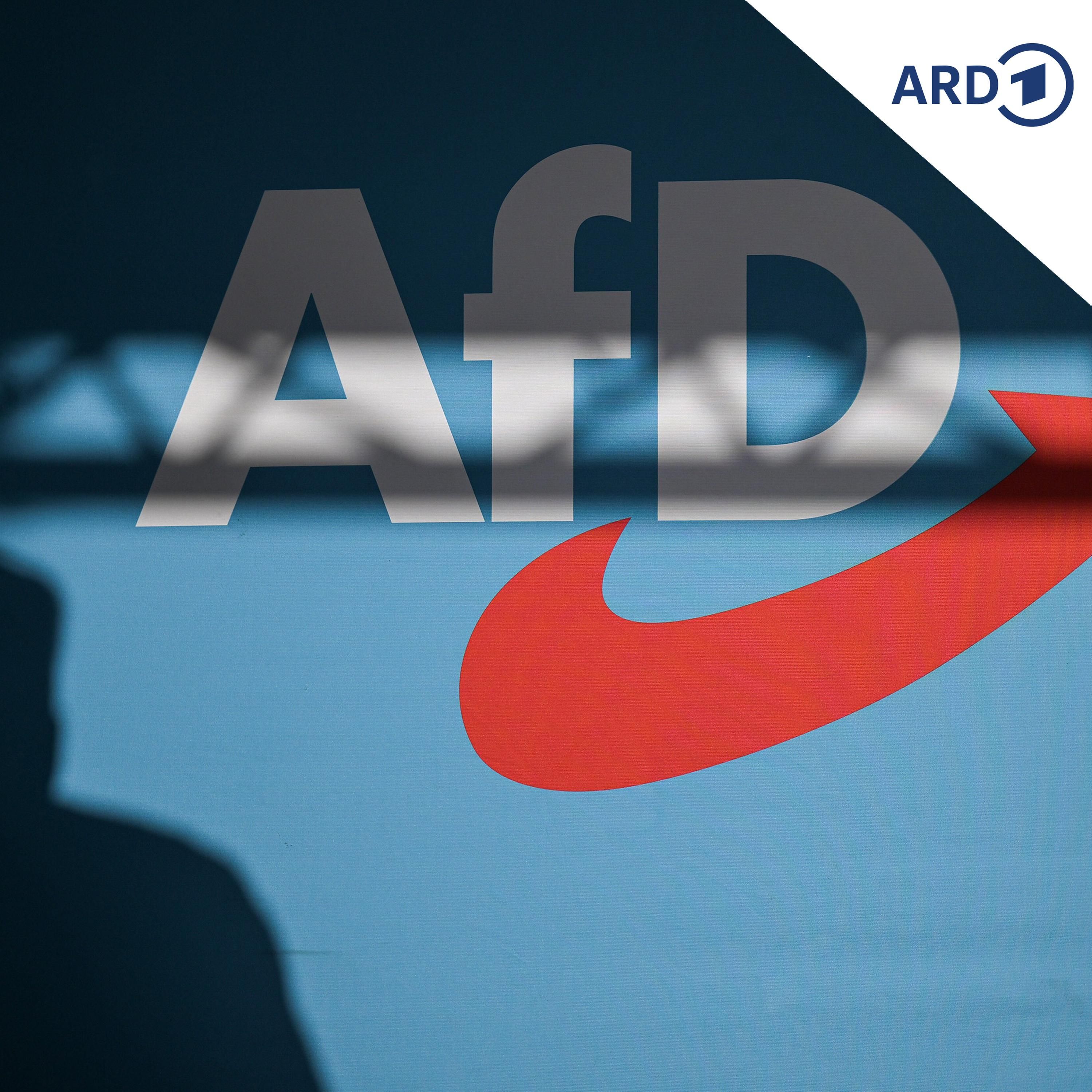 Wie sich die AfD für die Landtagswahl in Sachsen-Anhalt aufstellt