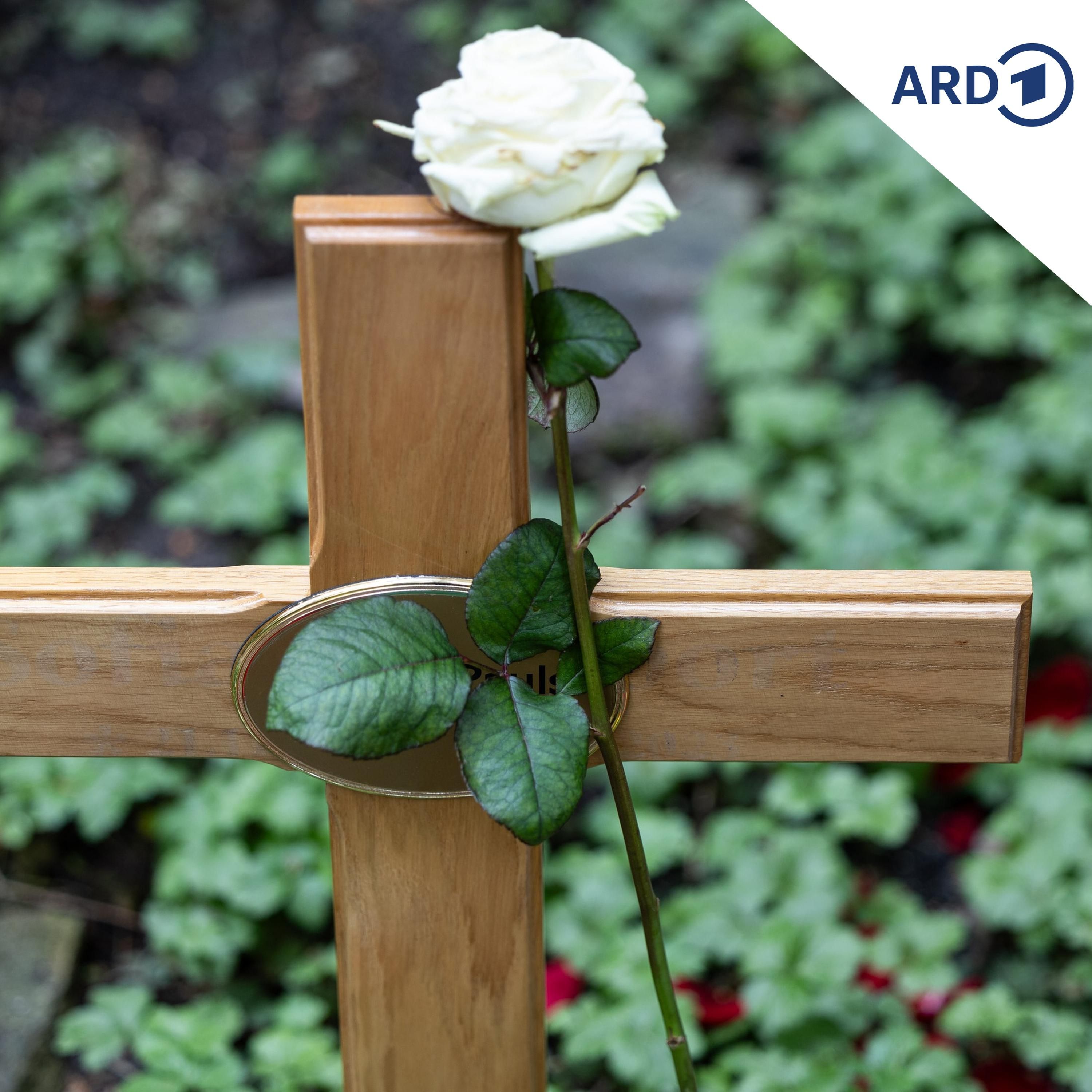Auch den Tod gibt es nicht umsonst
