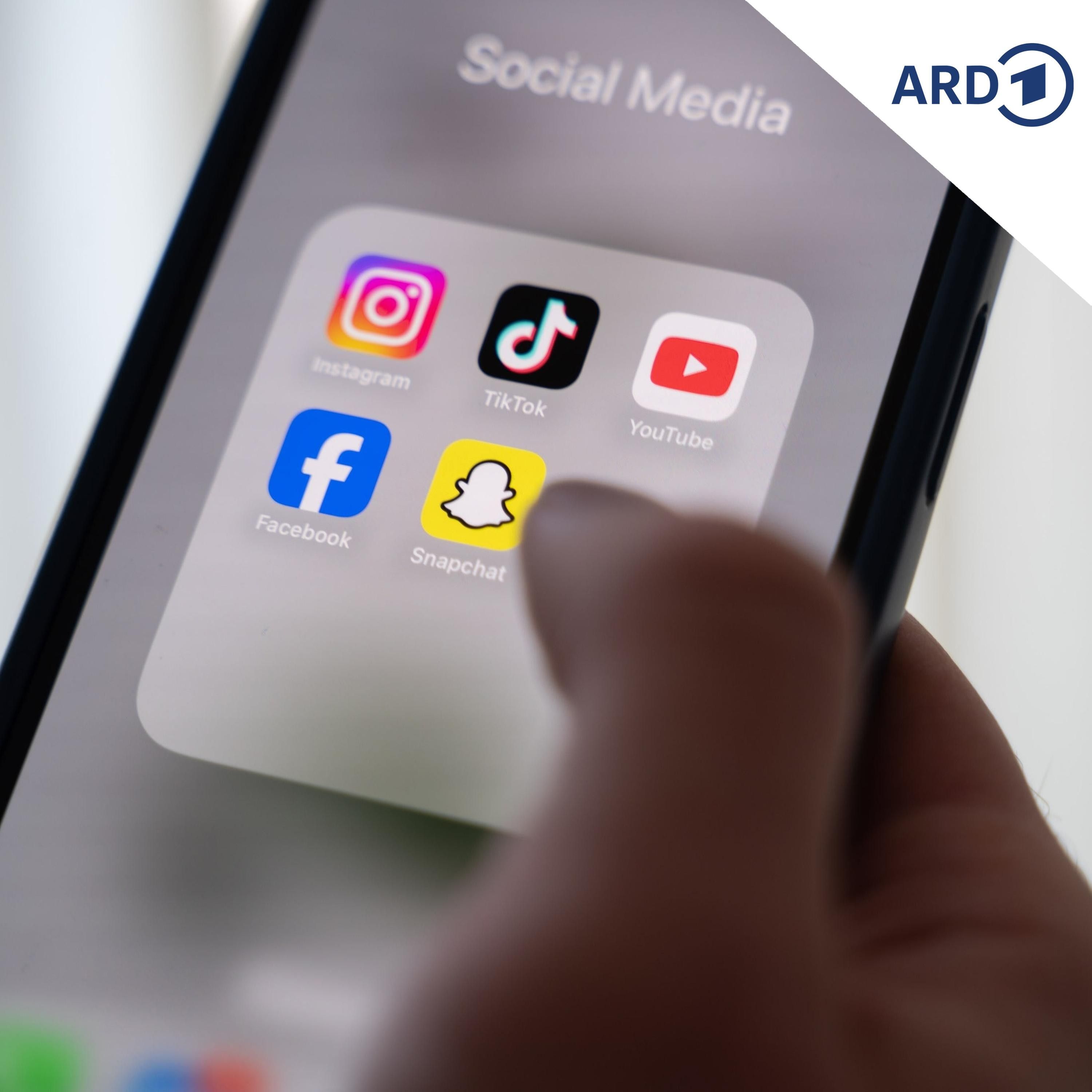 Influencer mischen sich in Streit an Dessauer Schule ein