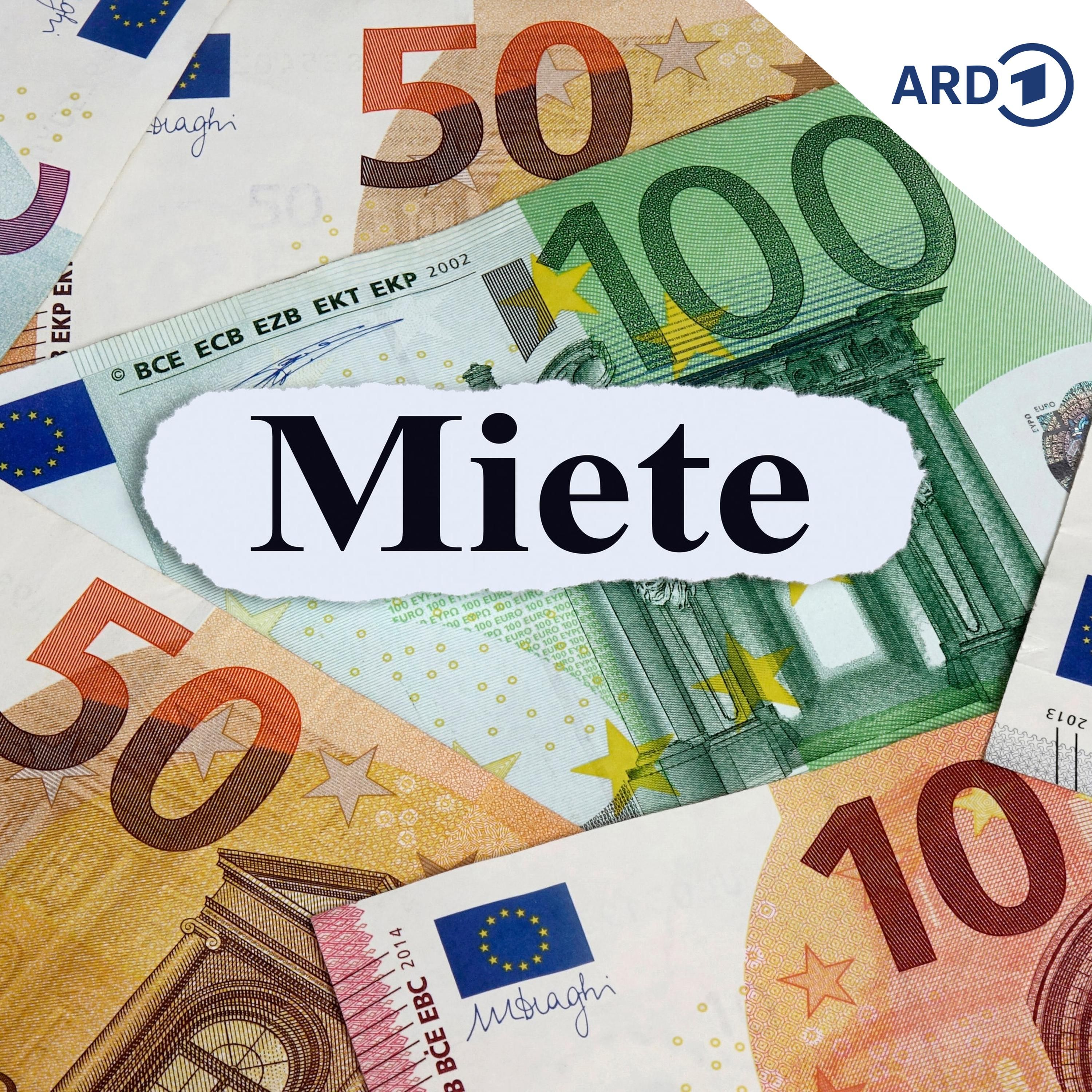 Wie Mietervereine mit dem rasanten Zulauf umgehen