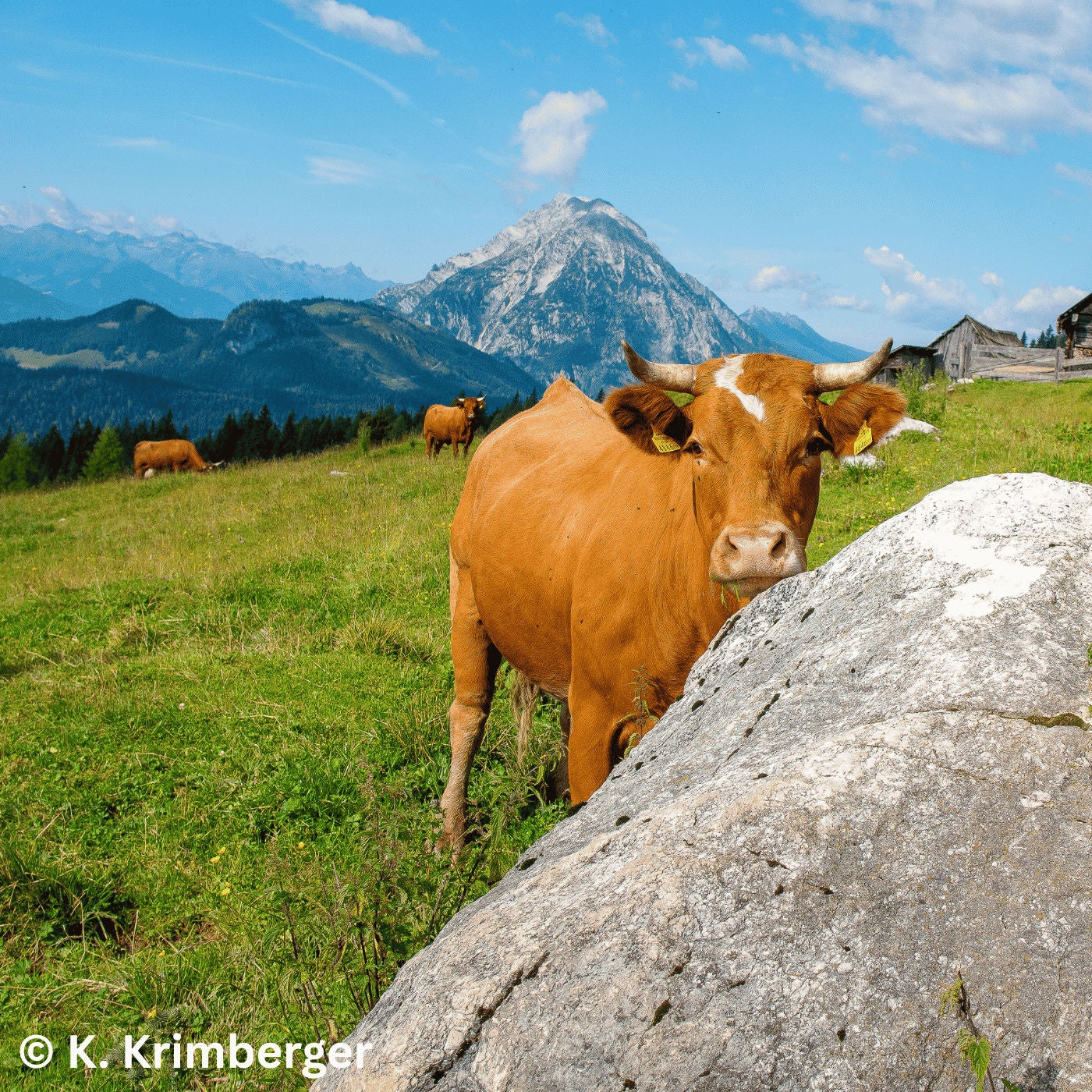 Landwirtschaft, Lebensraum und Tourismus im Fokus | Hannes Royer #177