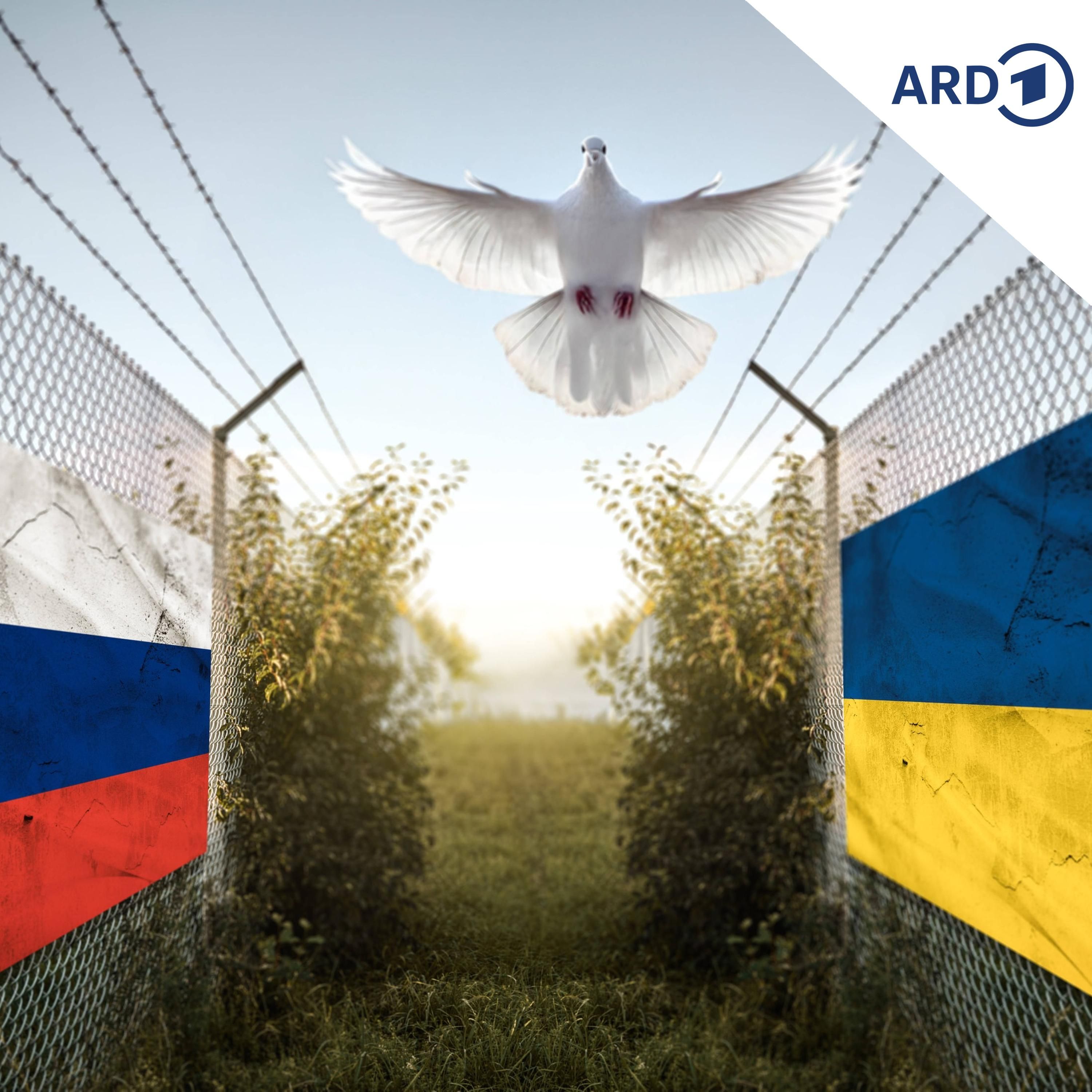 Frieden in der Ukraine nur mit ausländischen Truppen?