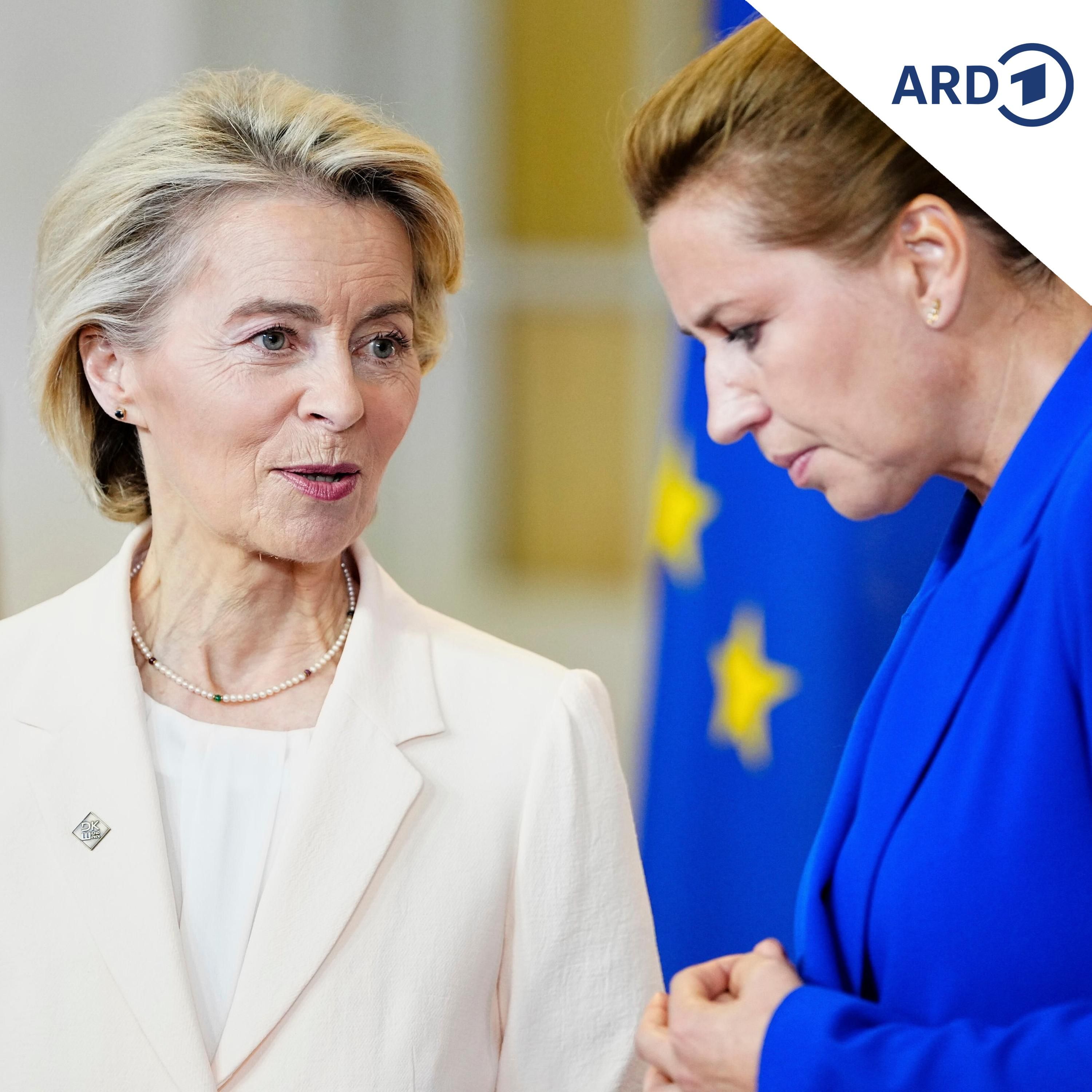 EU sucht Antworten auf Sicherheitsfragen