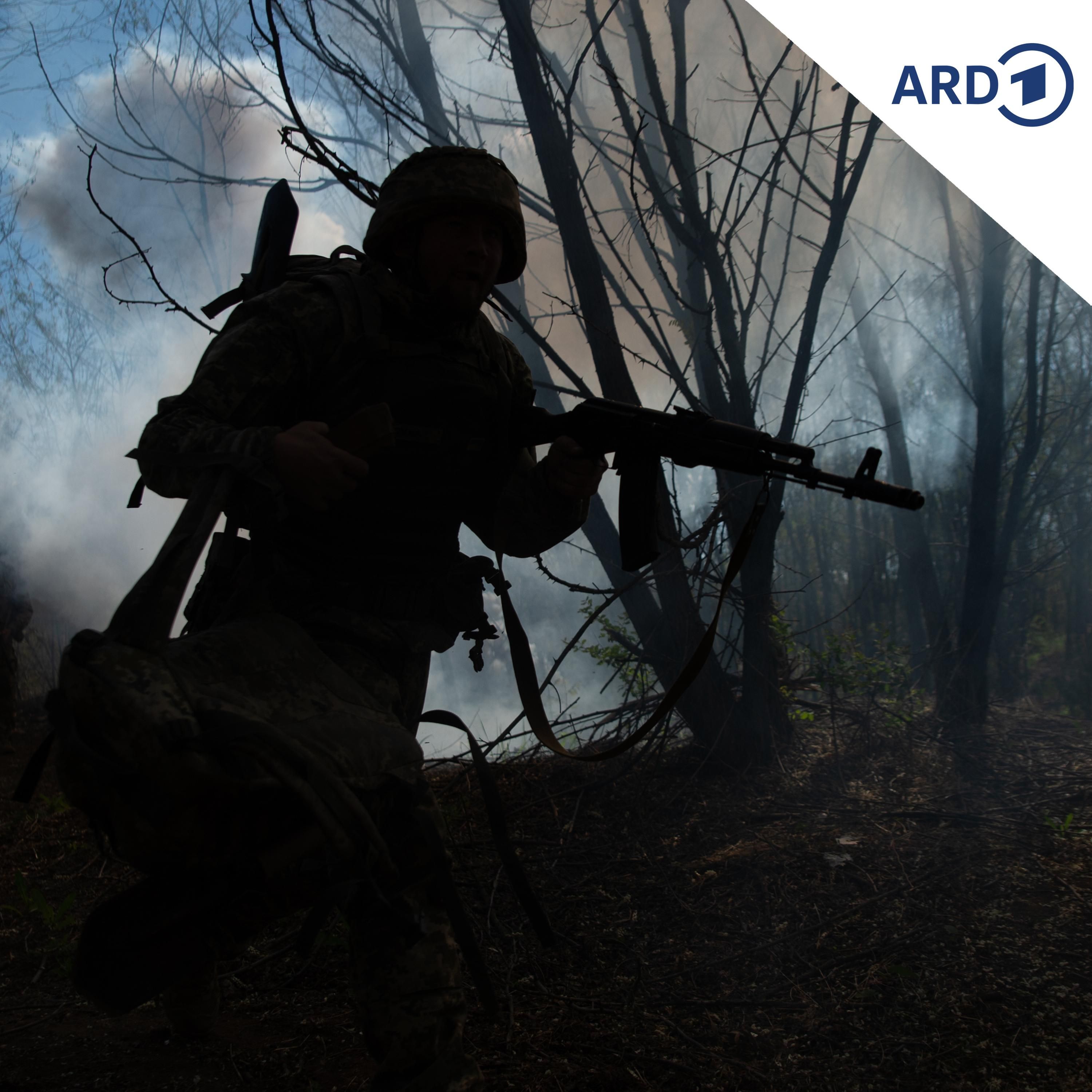 Ukraine: Die Probleme mit deutschen Waffen