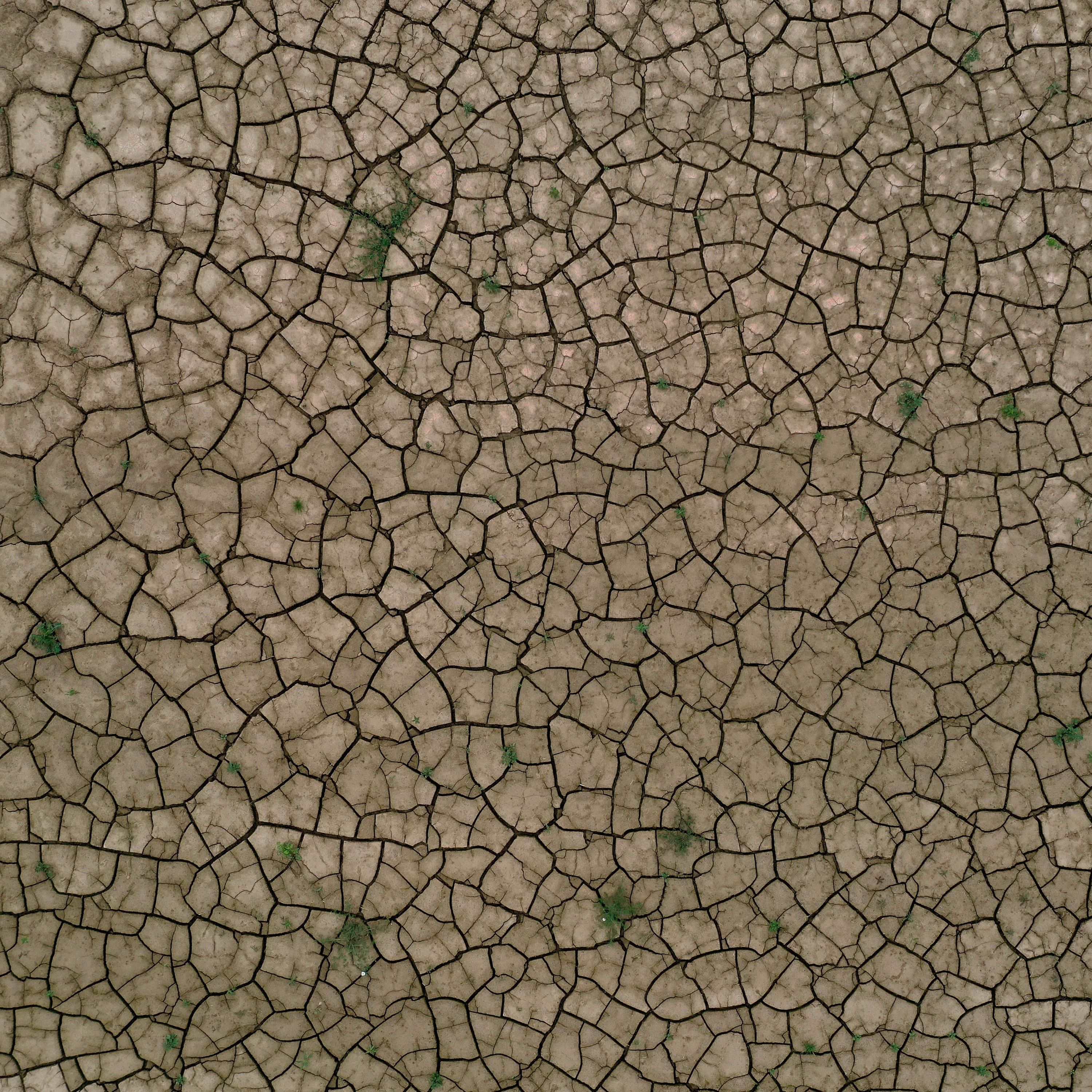 Wer bekommt Wasser, wenn es knapp wird?