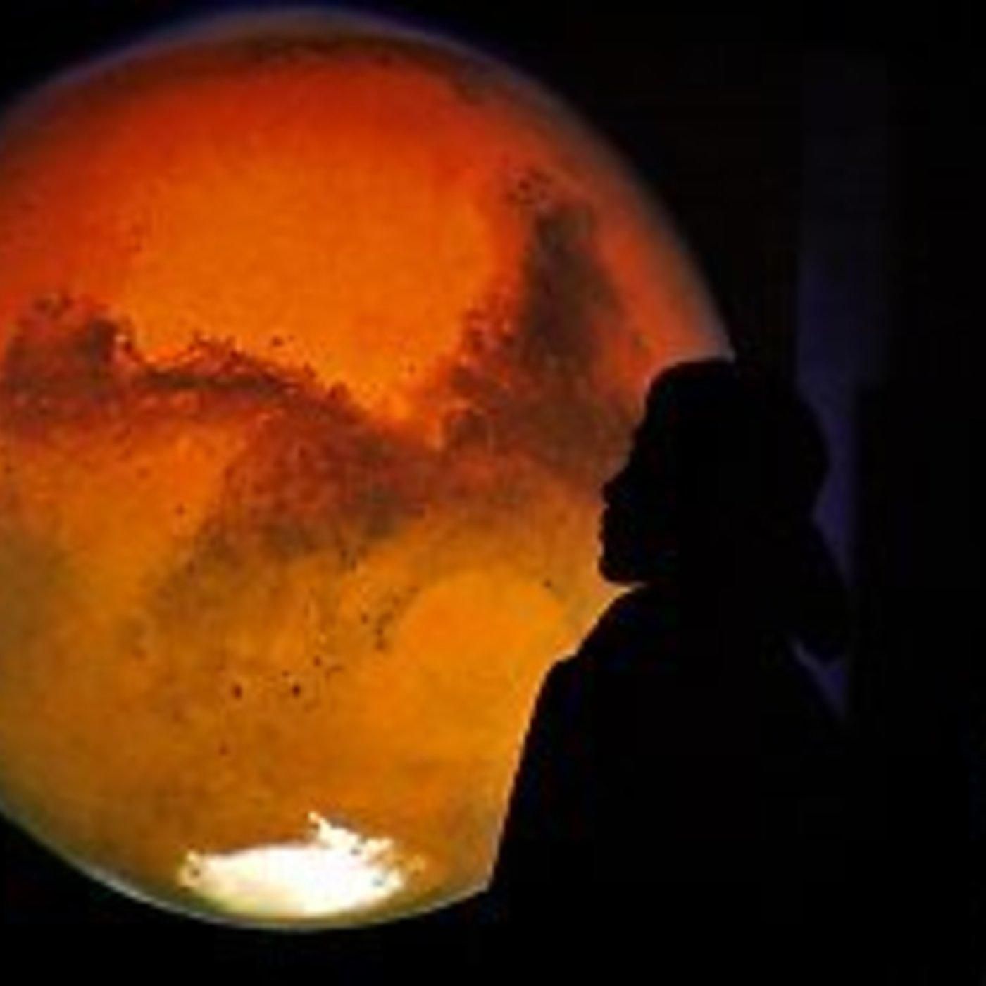 Fliegt Musk uns bald zum Mars?