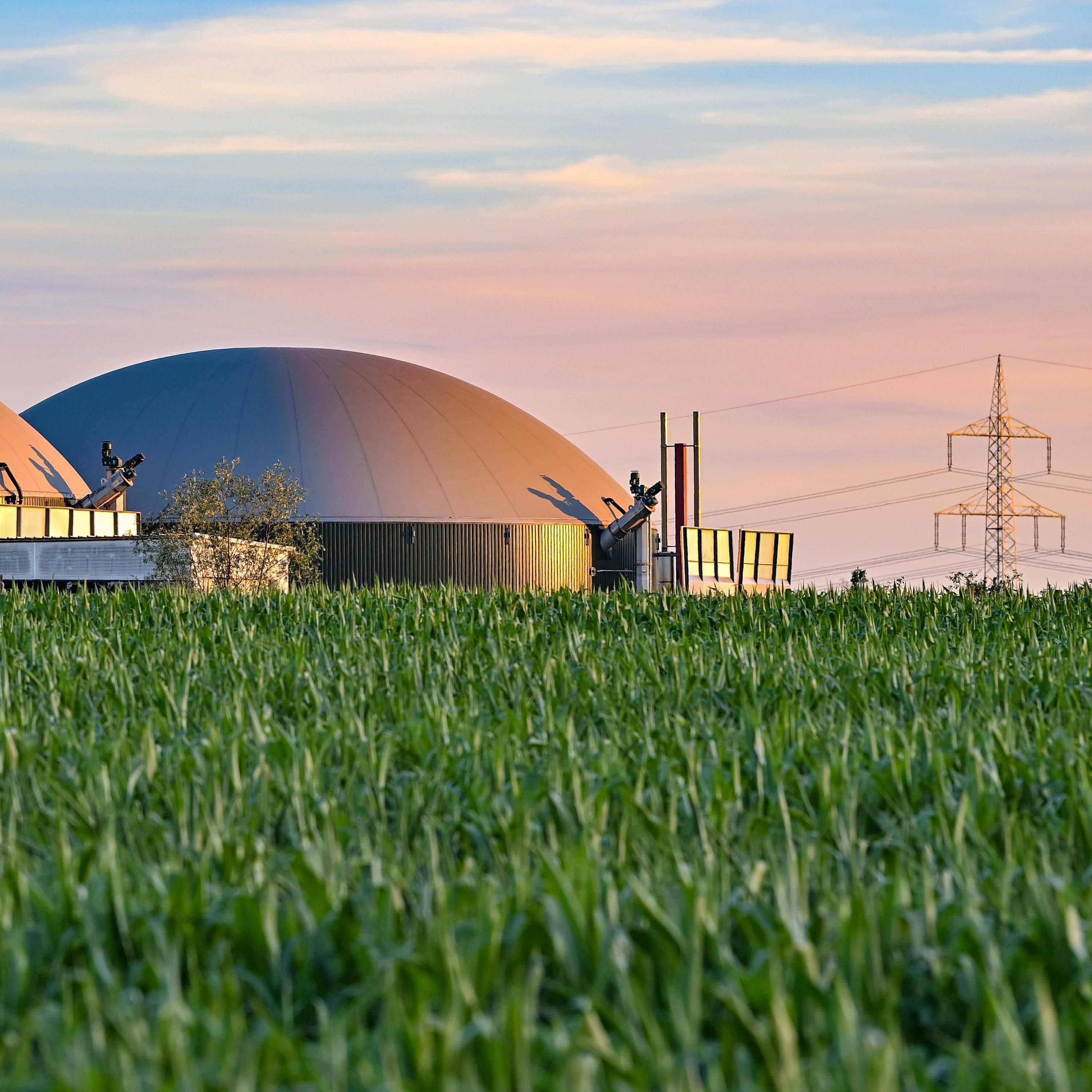 Biogas statt Gas aus Russland? Kurzfristig kein Ersatz