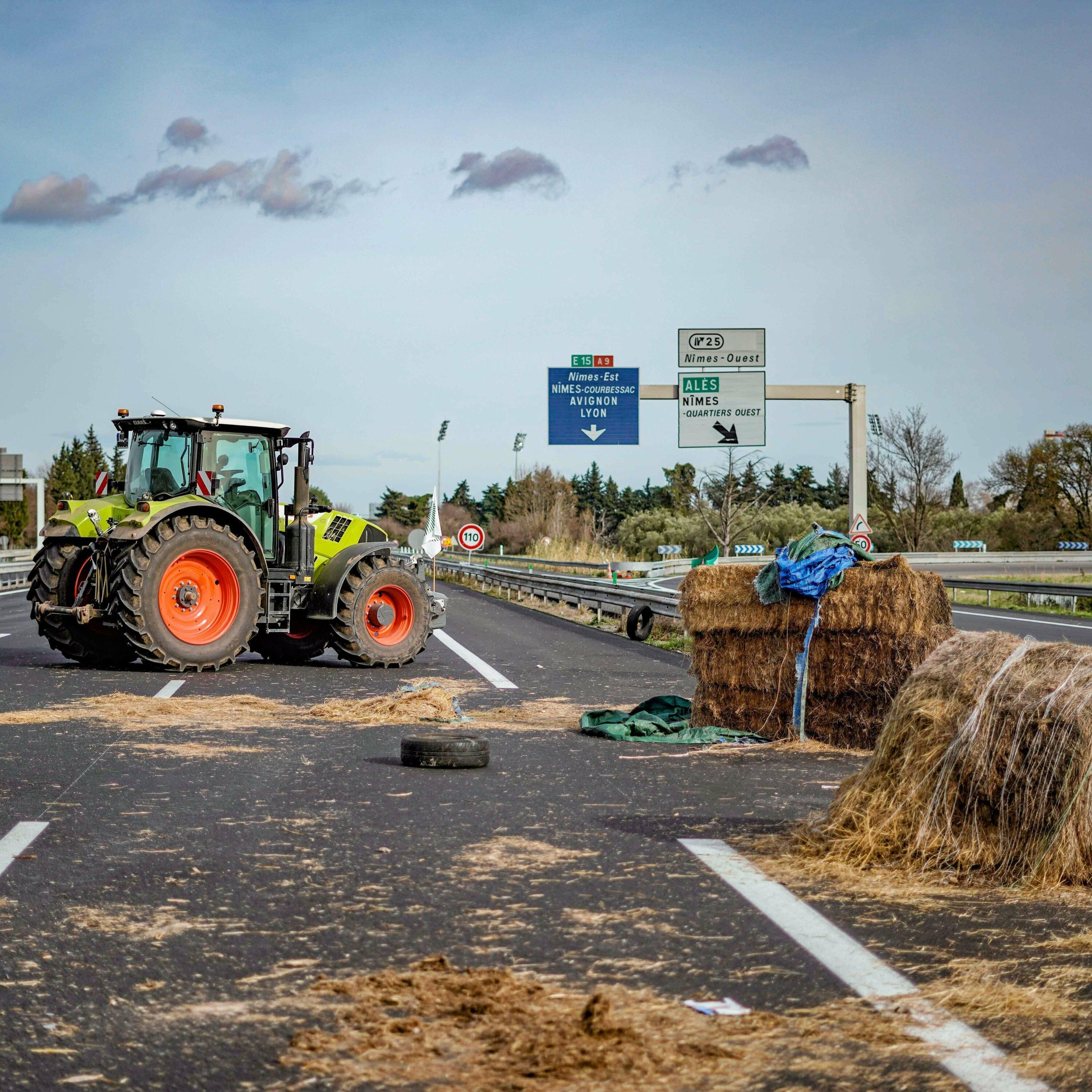 Deutsche Ökonomen wüten: Schaden die europäischen Landwirte sich selbst?