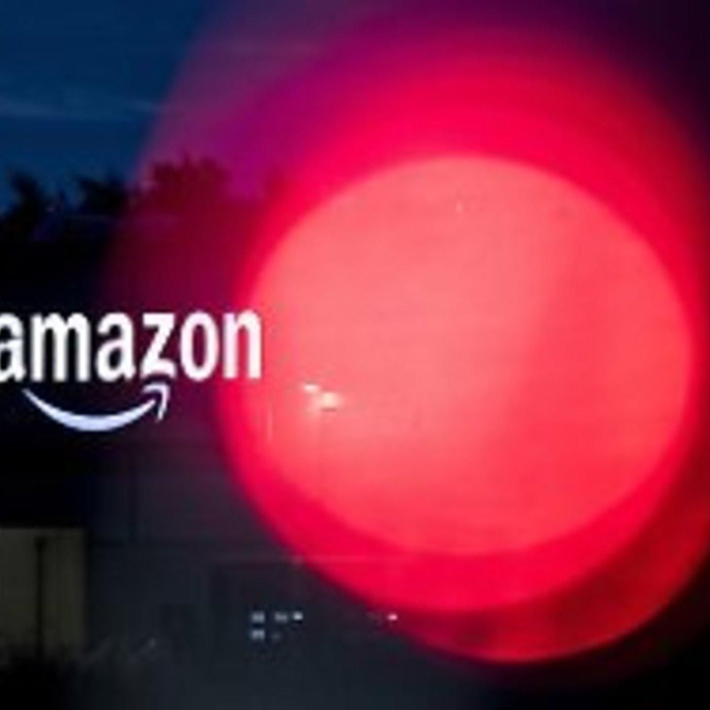 Amazon ist bequem, reich und - zu groß?