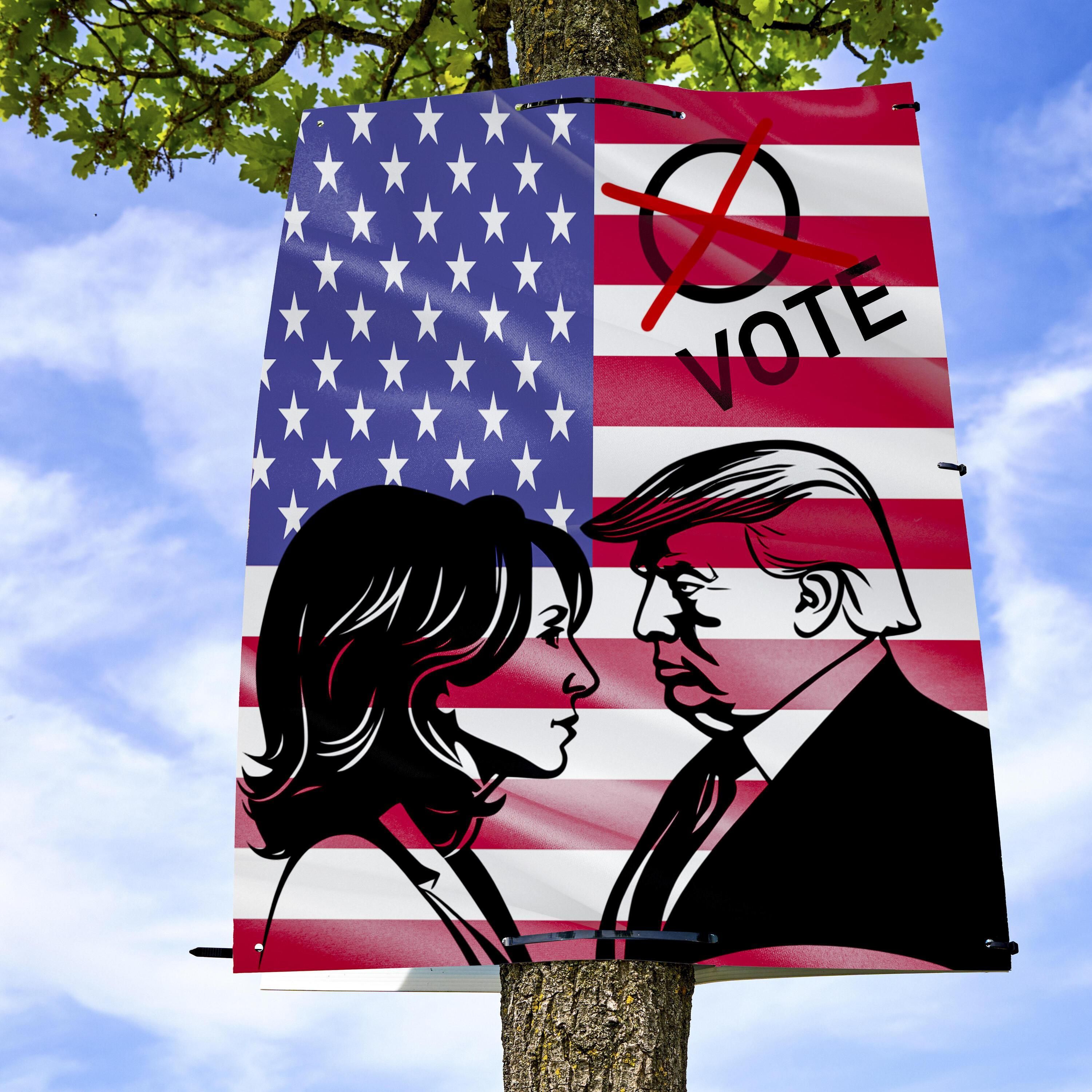 Diese sieben Bundesstaaten entscheiden die US-Wahl