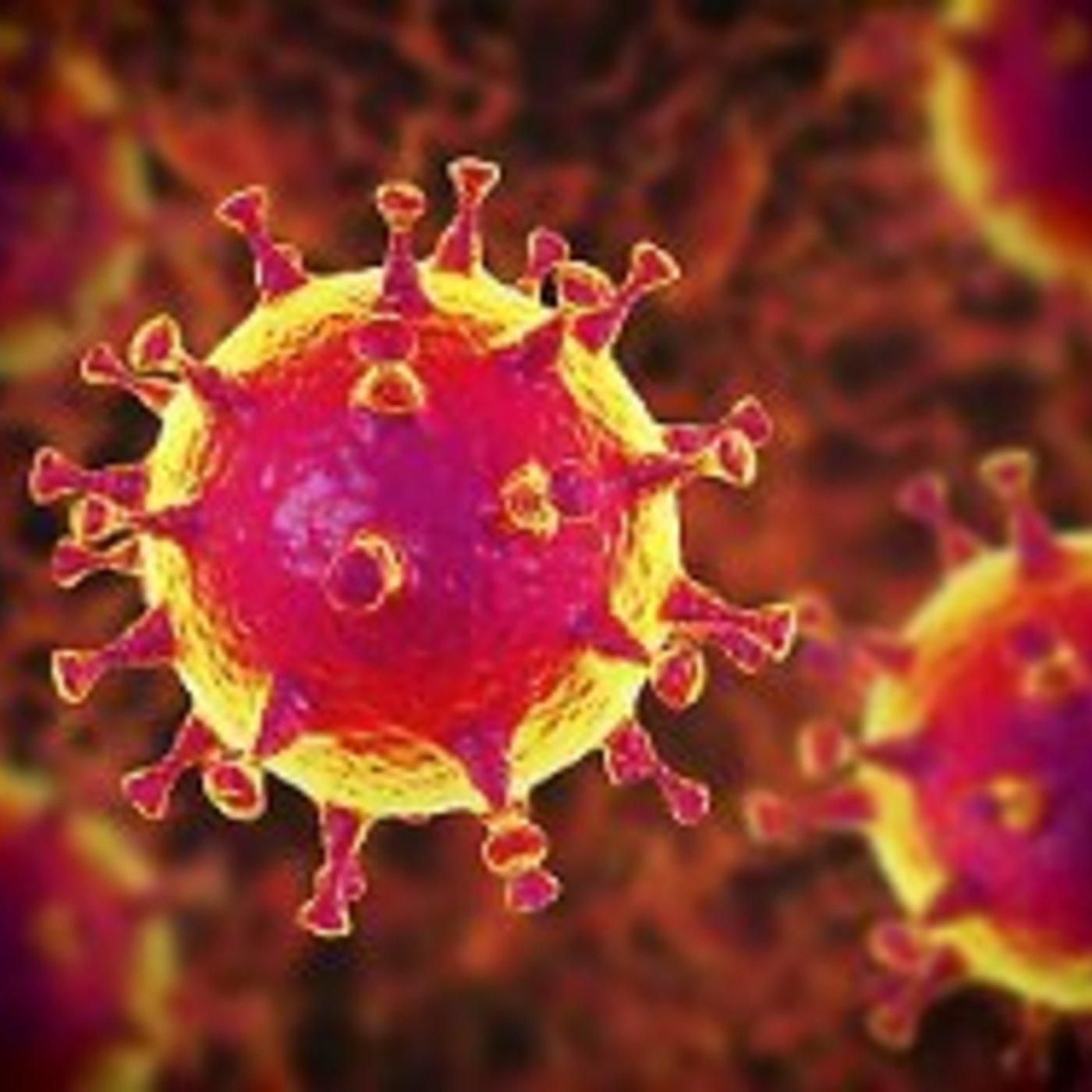 Das Coronavirus folgt seinem Plan
