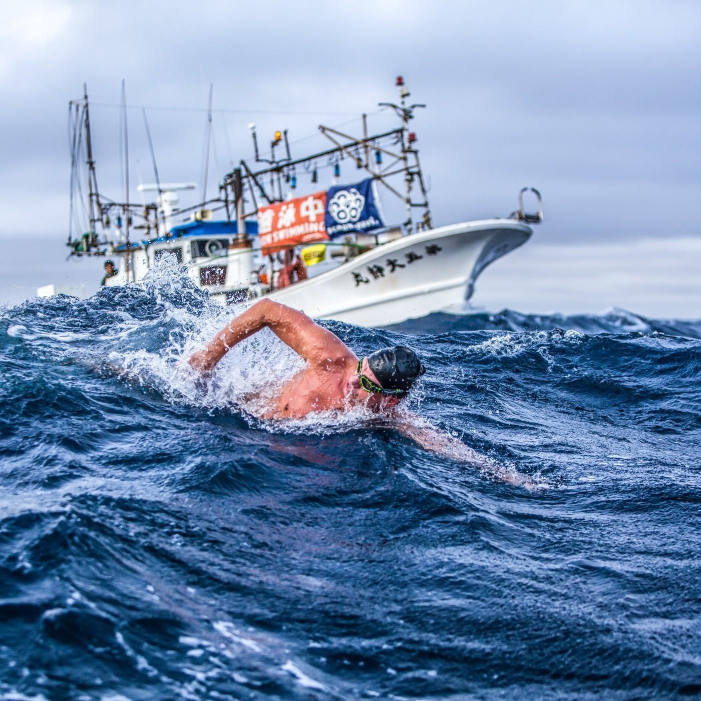 Ocean's Seven: Extremschwimmen mit Haien und Quallen