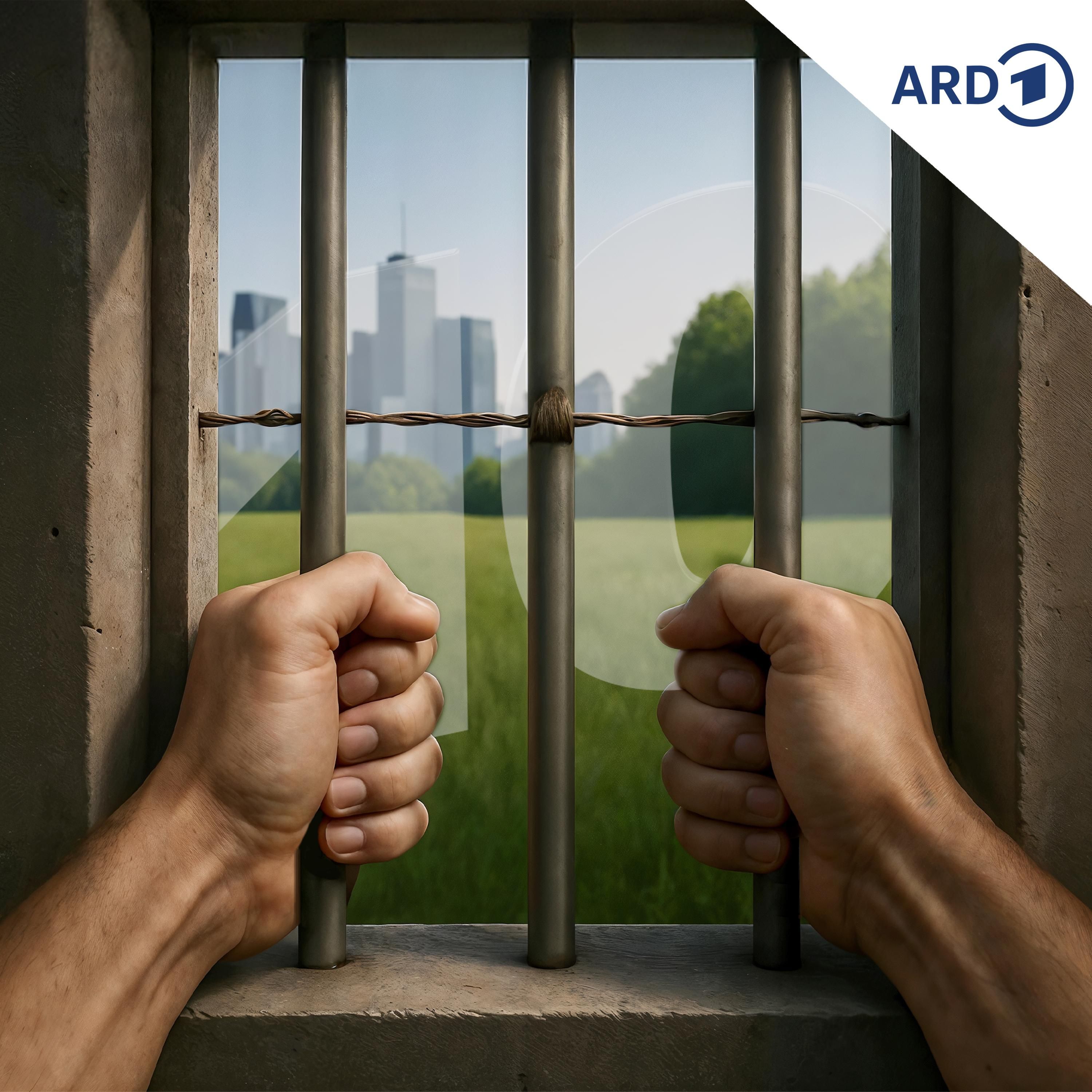 Was nützen Gefängnisse?