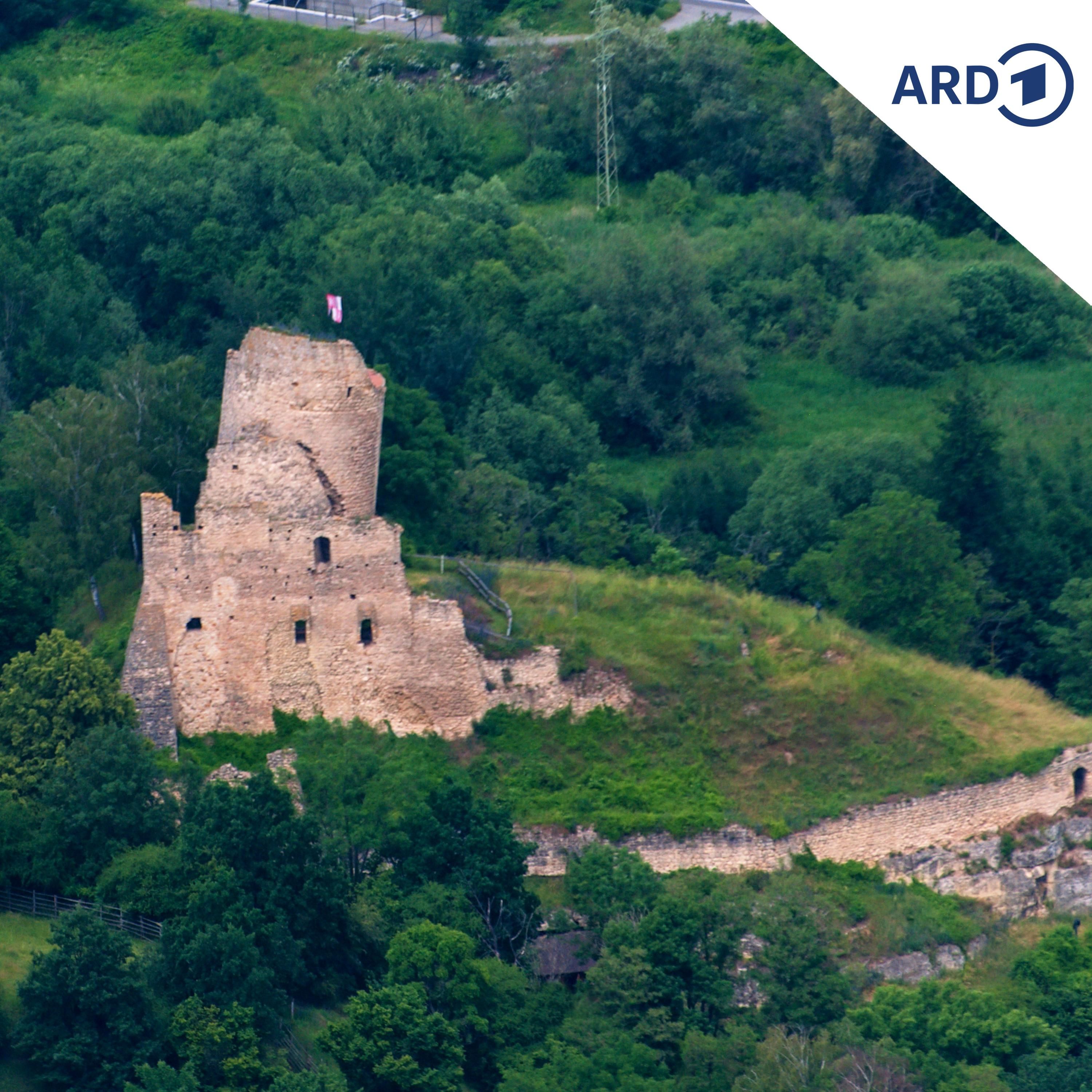 Schiefer als Turm in Pisa: Burg Michalovice in Tschechien wird zum neuen Rekordhalter