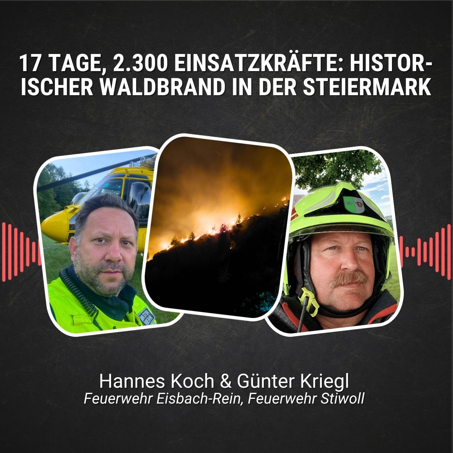 #114: 17 Tage, 2.300 Einsatzkräfte: Historischer Waldbrand in Eisbach-Rein (Steiermark)