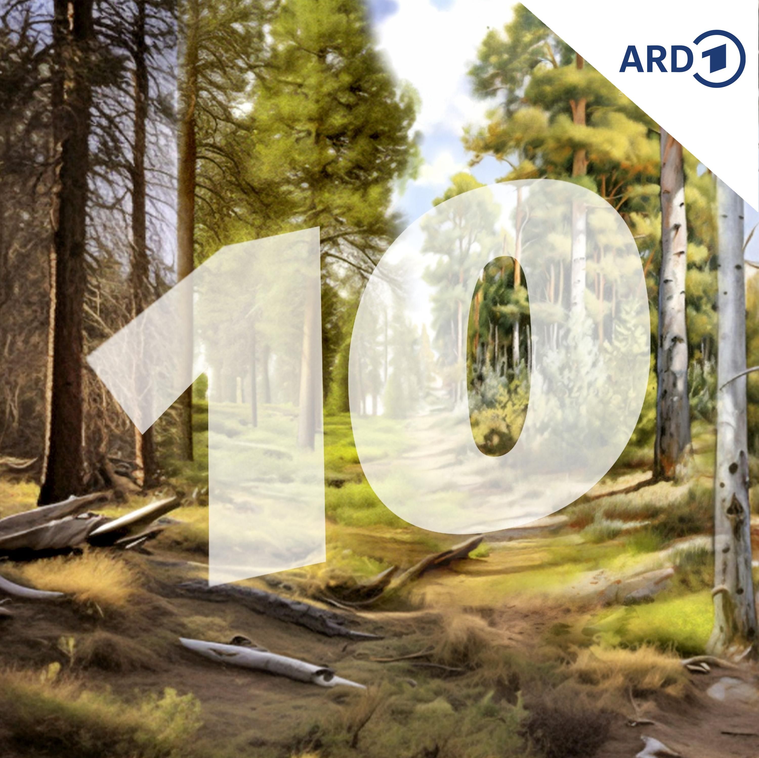 Wie sieht der Wald in Zukunft aus?