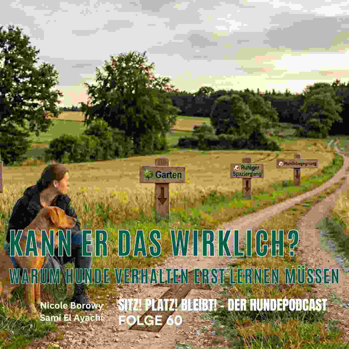 #60 Kann er das wirklich? Warum Hunde Verhalten erst lernen müssen, bevor sie es überall zeigen können.