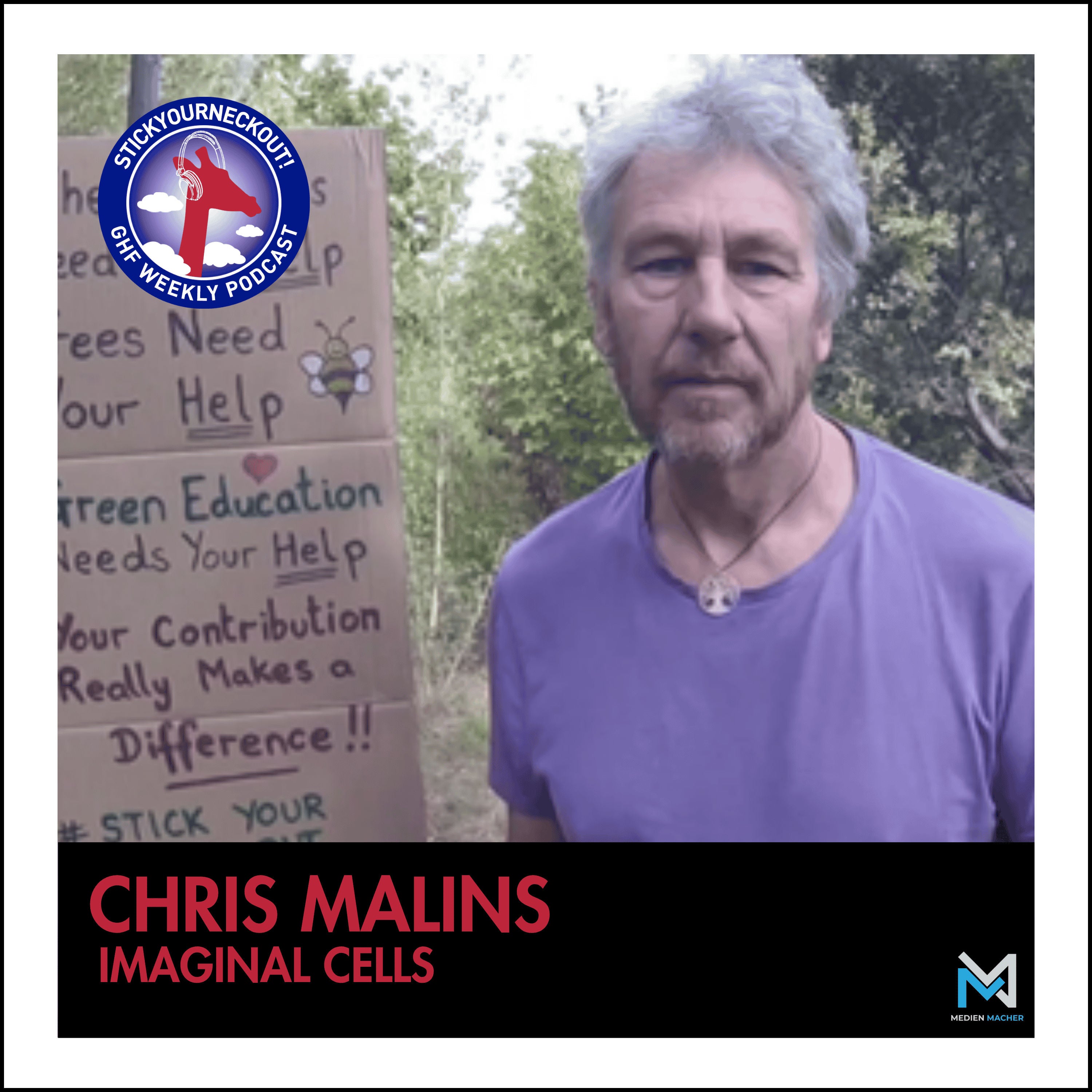 Imaginal Cells
