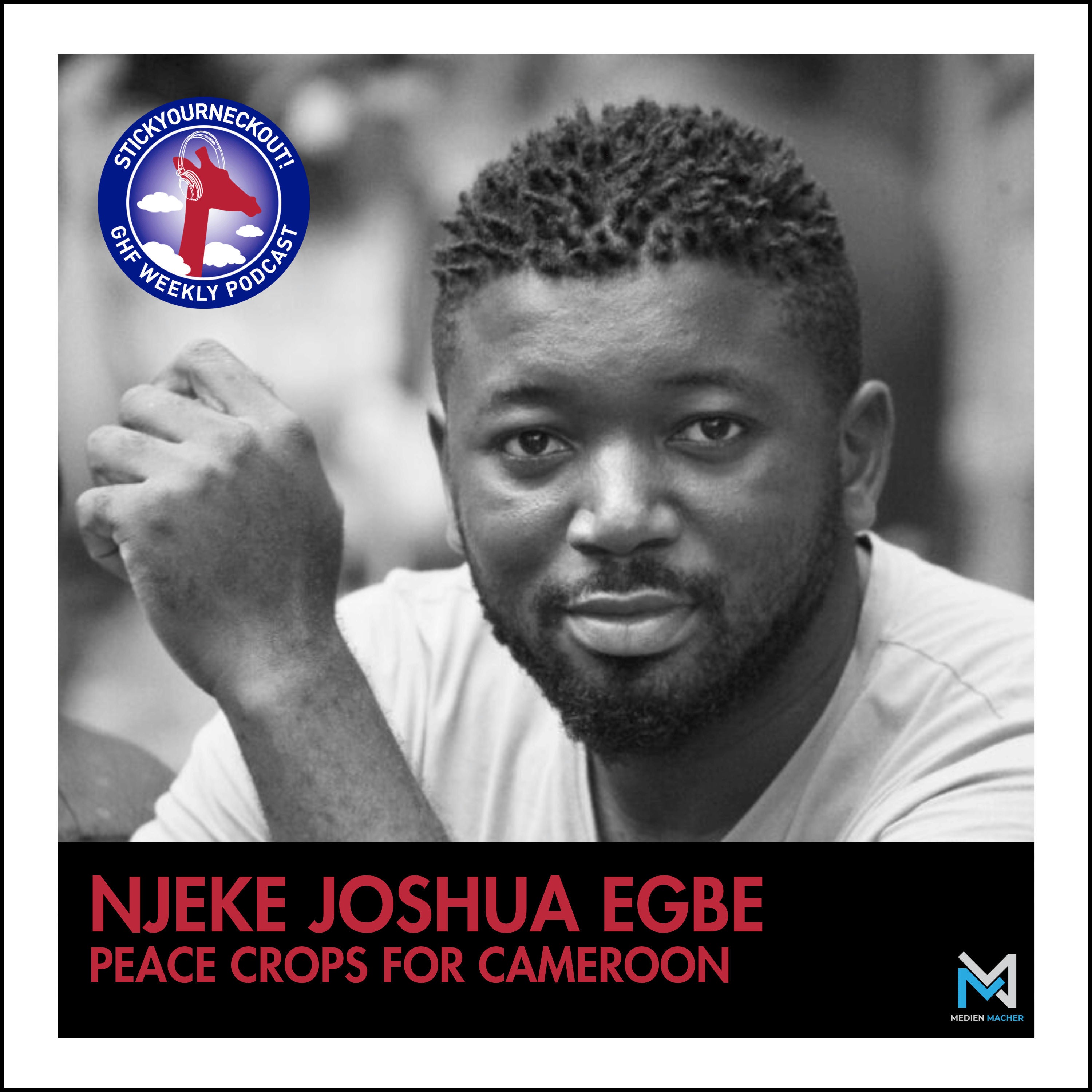 Peace crops for Cameroon