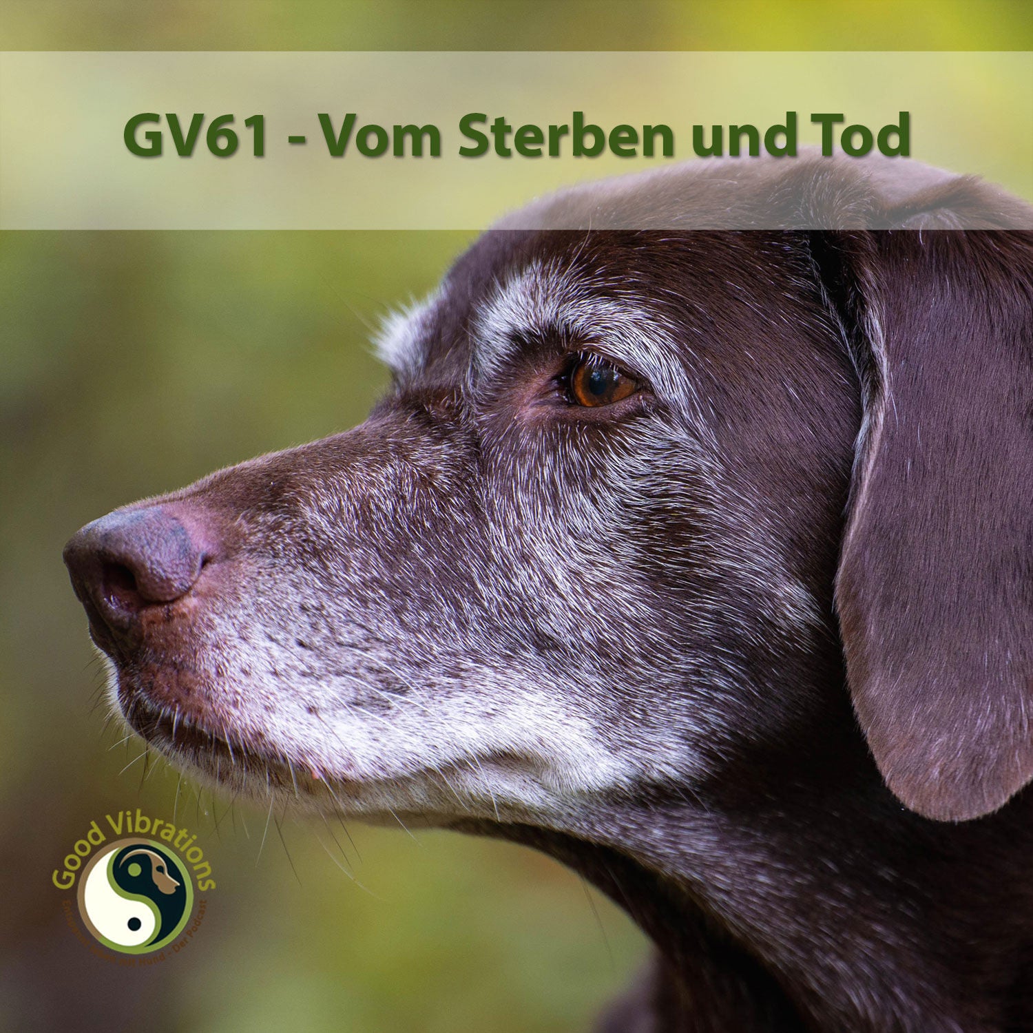 GV 61_Sterben und Tod