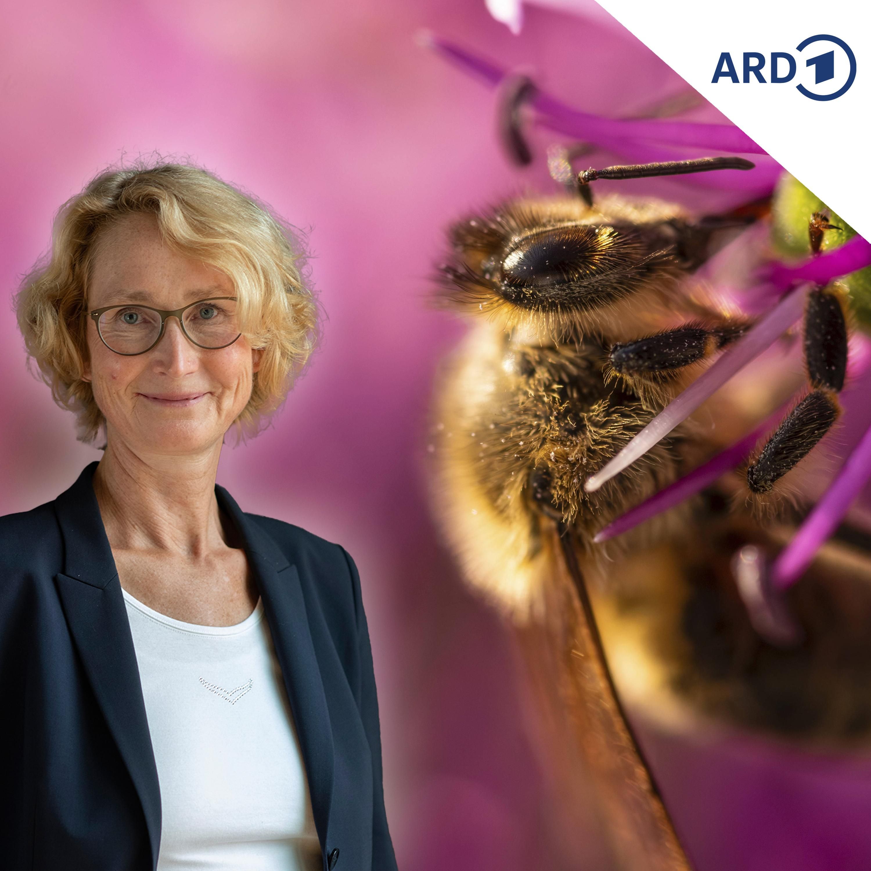 Das große Arten-Sterben und was wir dagegen tun können
