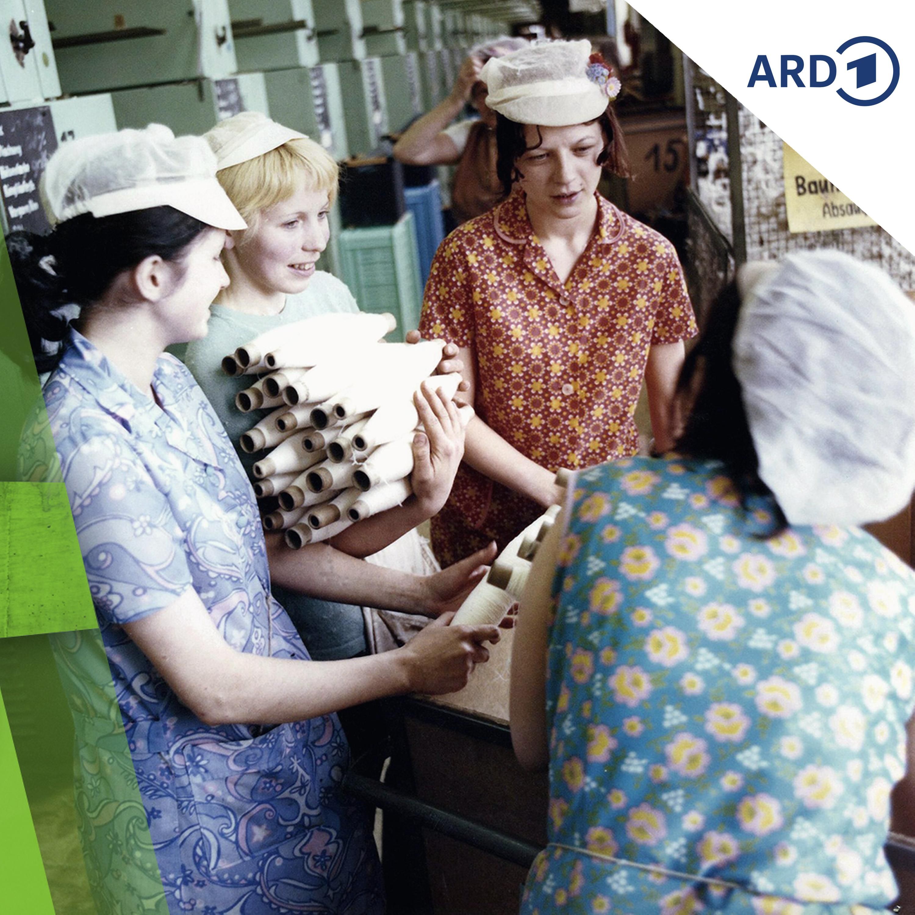 Berufe und Studium in der DDR - wie war das?