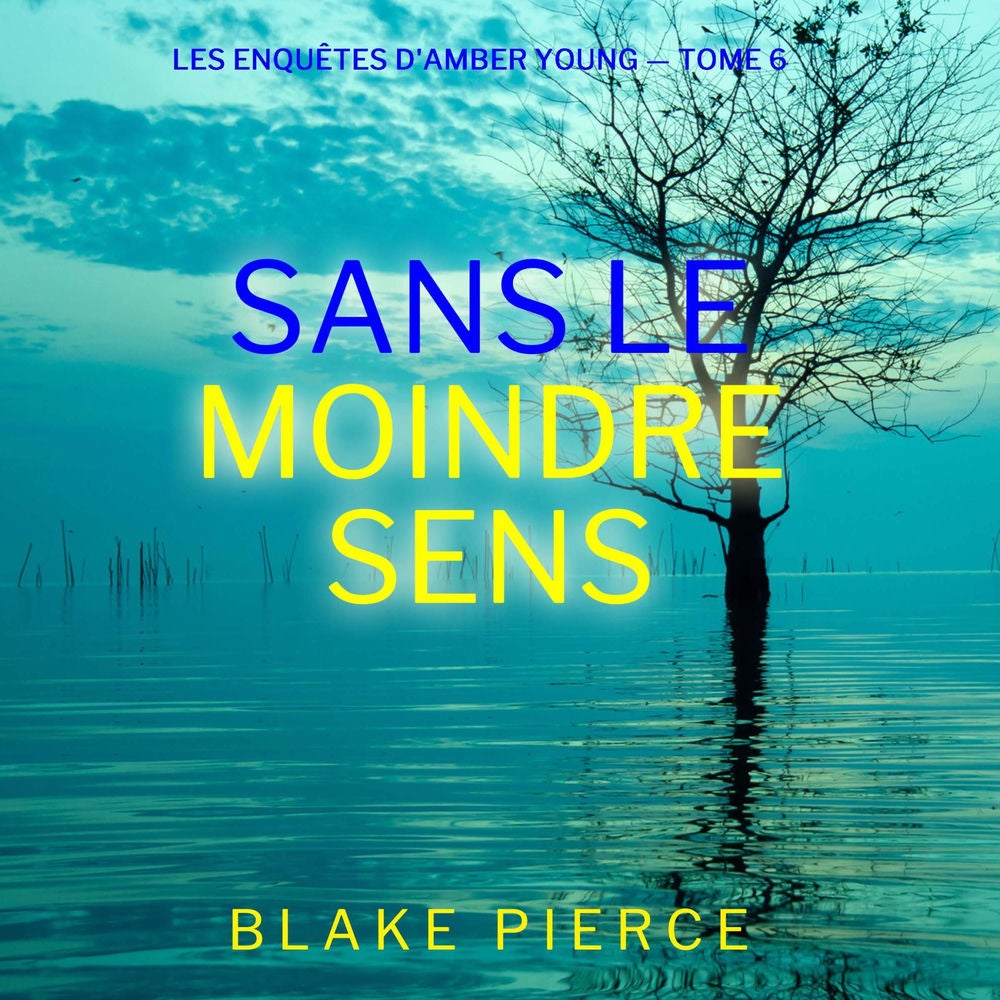Sans le moindre sens (Les Enquêtes d'Amber Young — tome 6)
