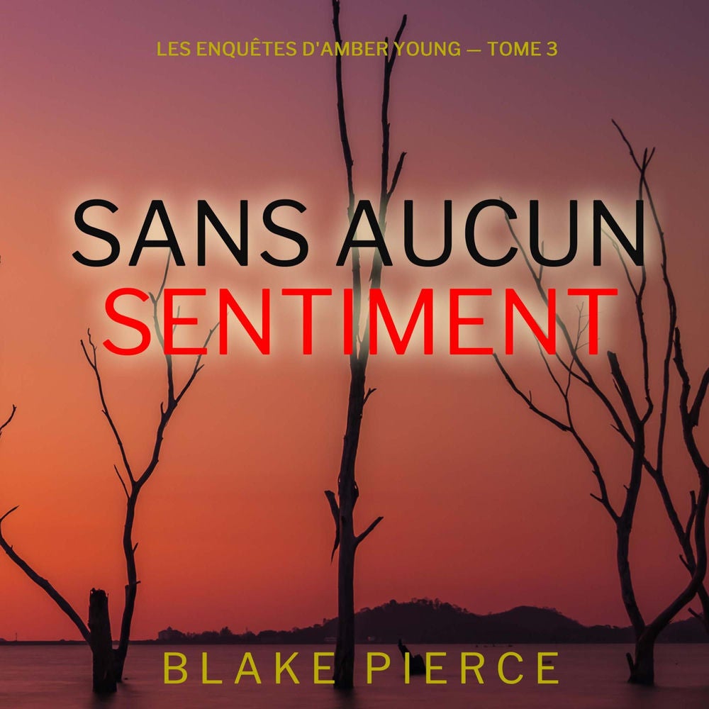 Sans aucun sentiment (Les Enquêtes d'Amber Young — tome 3)