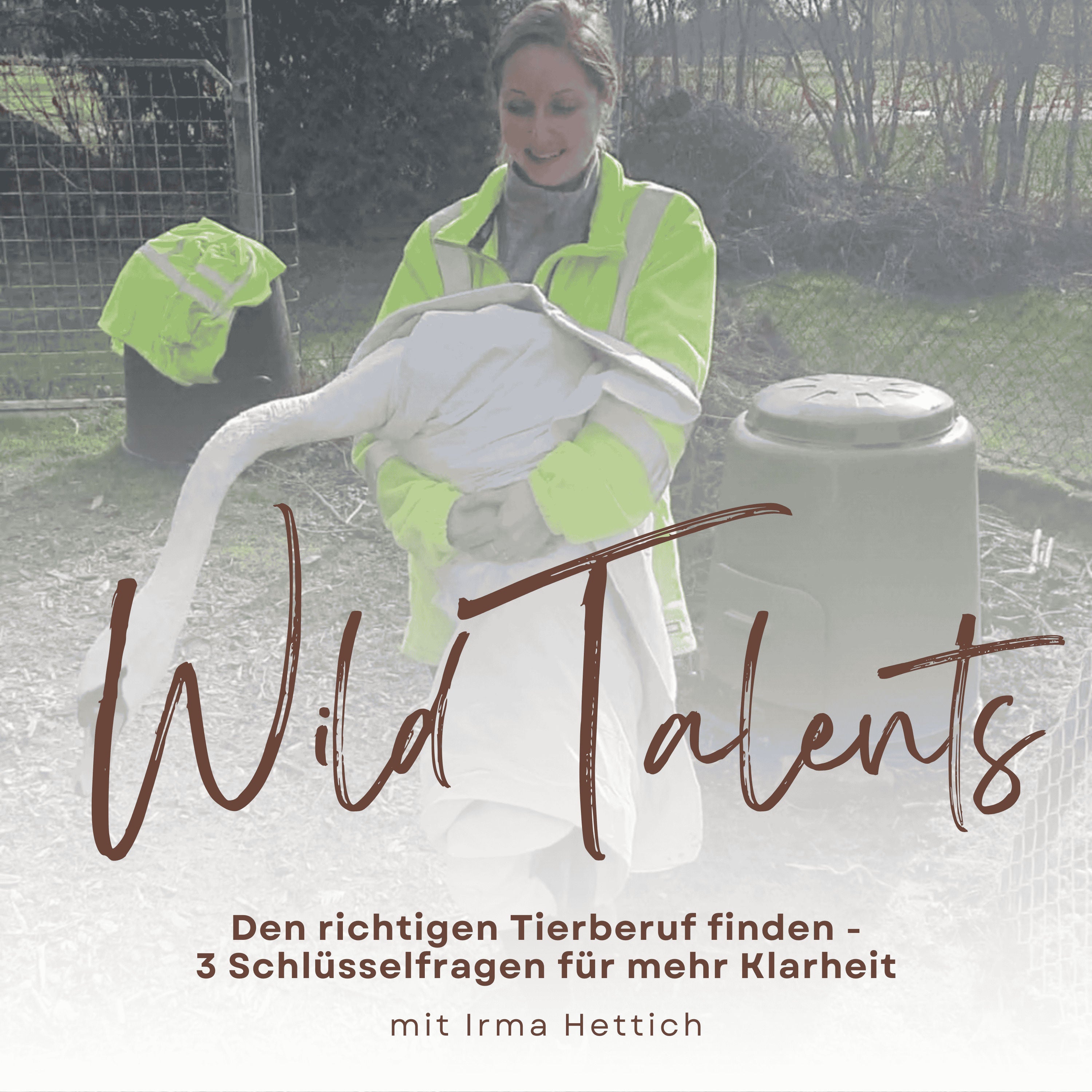 #10 Den richtigen Tierberuf finden - 3 Schlüsselfragen für mehr Klarheit