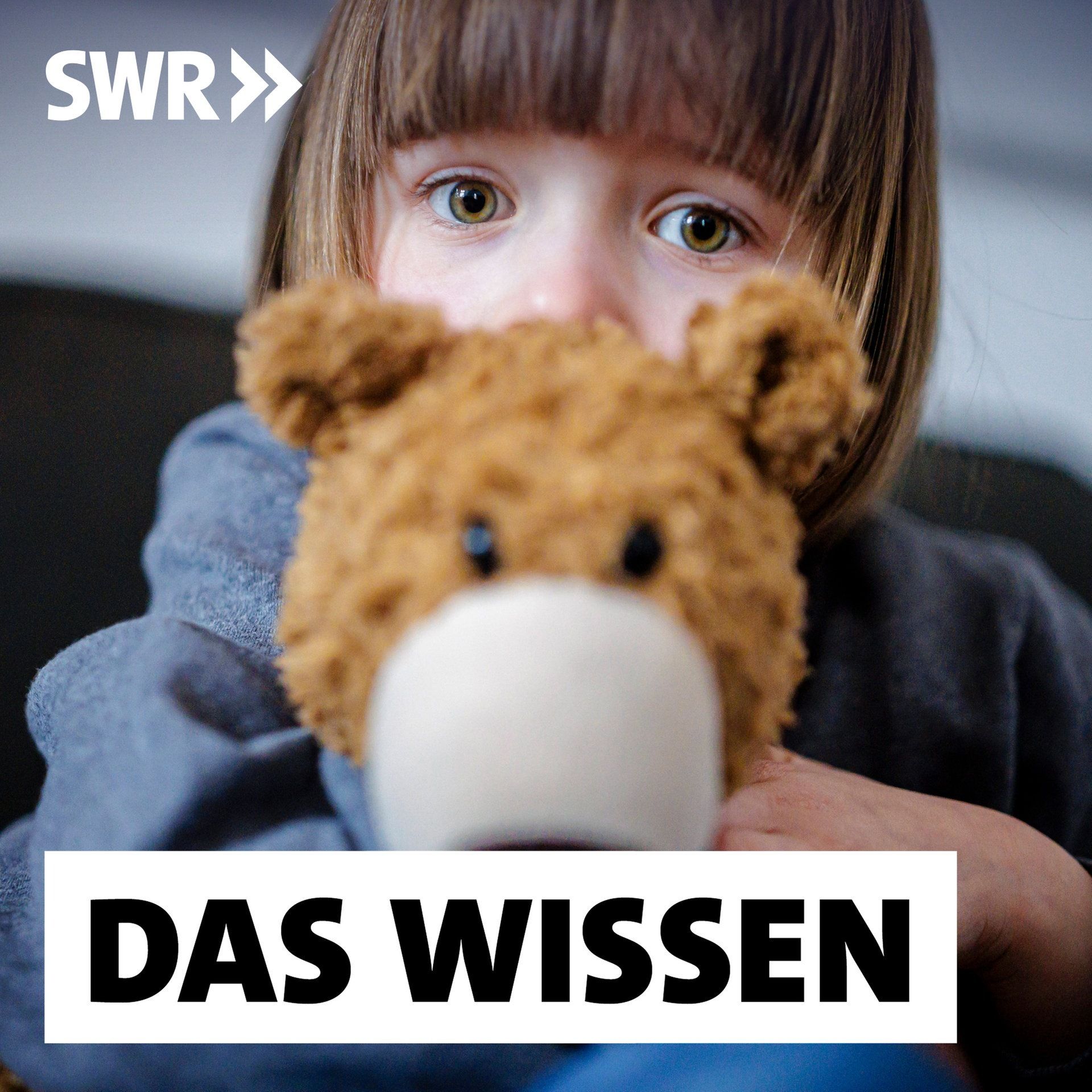 Wenn Kinder Angst haben – Was ist normal, was ein Warnsignal?
