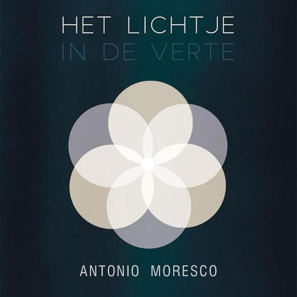 Het lichtje in de verte
