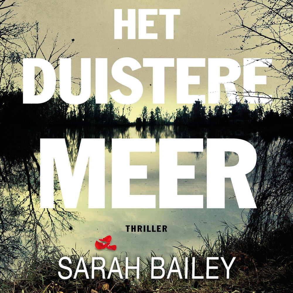 Het duistere meer
