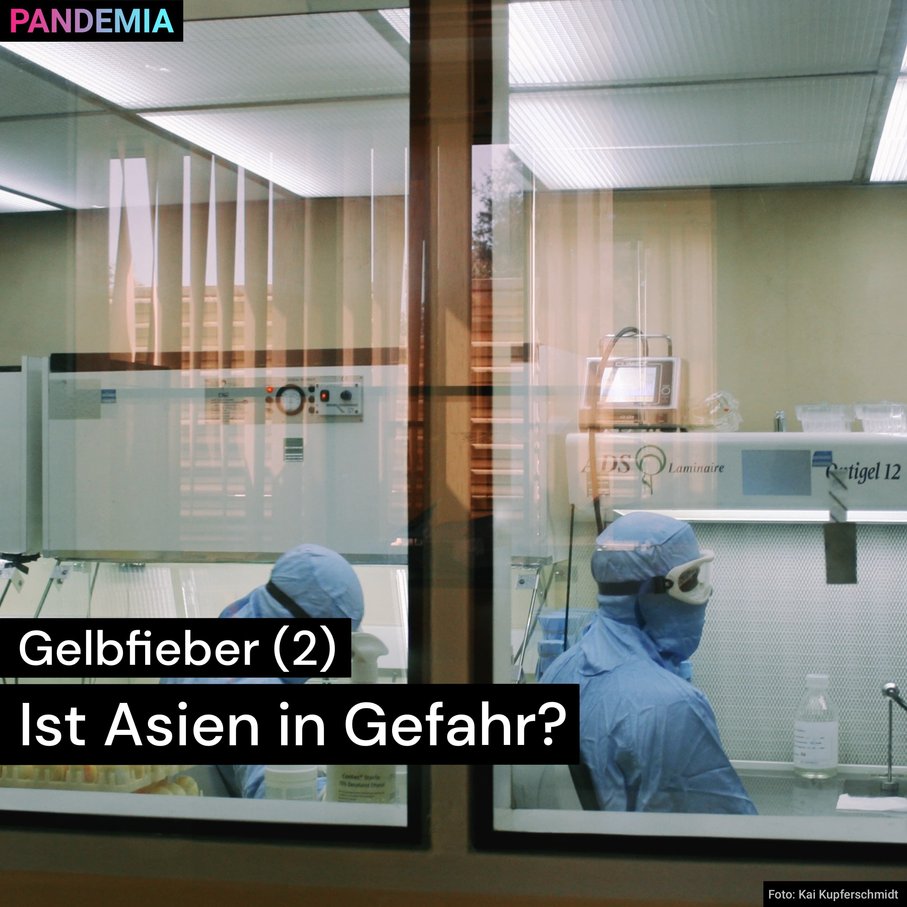 Gelbfieber (2) | Ist Asien in Gefahr?