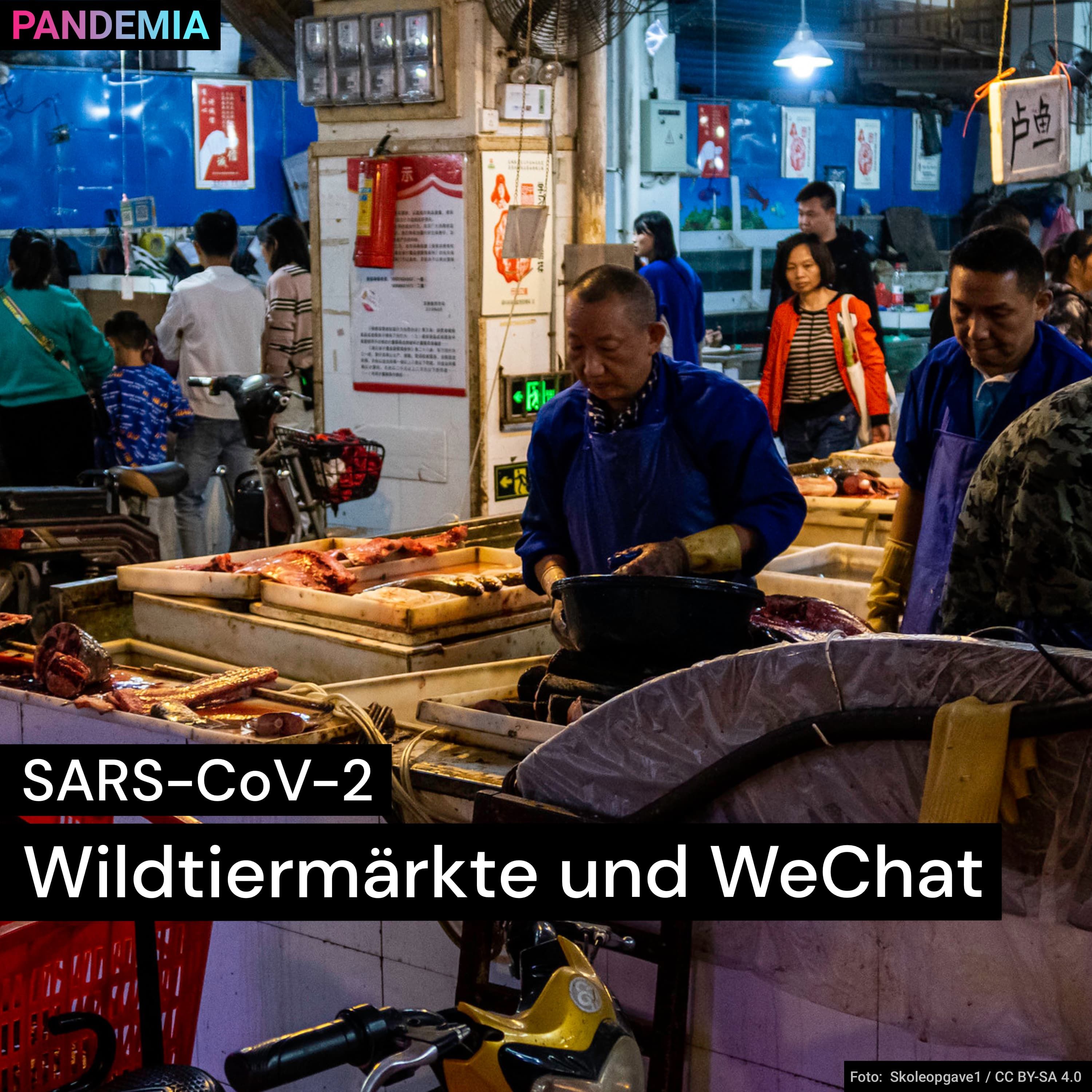 SARS-CoV-2 | Wildtiermärkte und WeChat