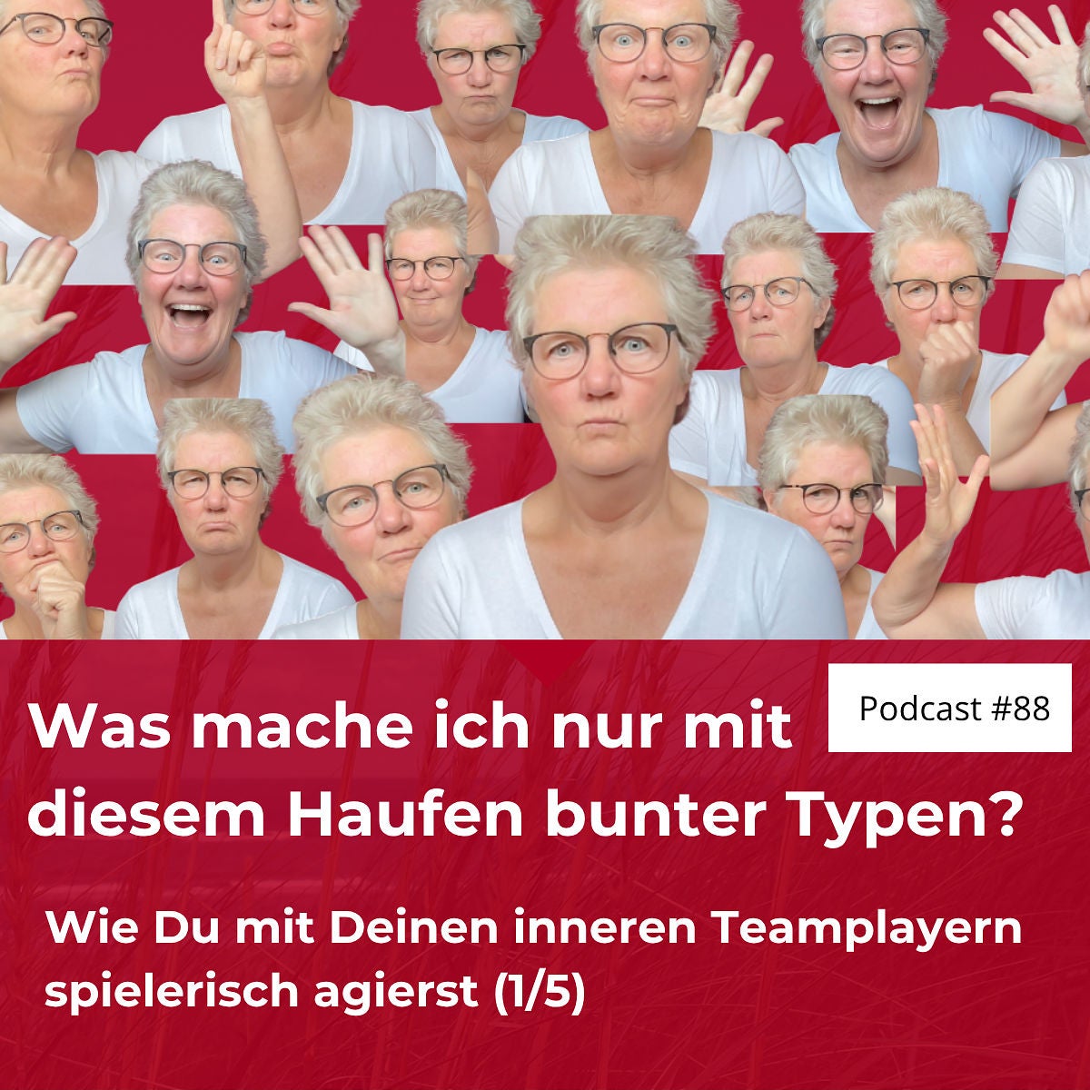 #88 Was mache ich nur mit diesem Haufen bunter Typen?