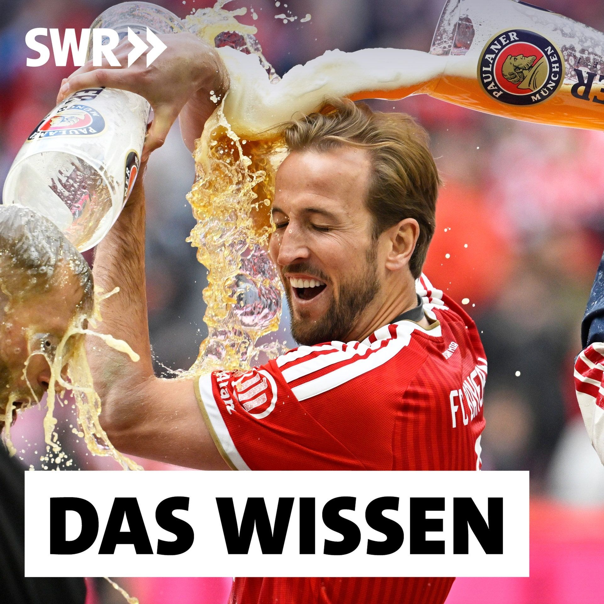 Alkohol im Fußballstadion – Wie Sponsoren und Fankultur das Trinken fördern