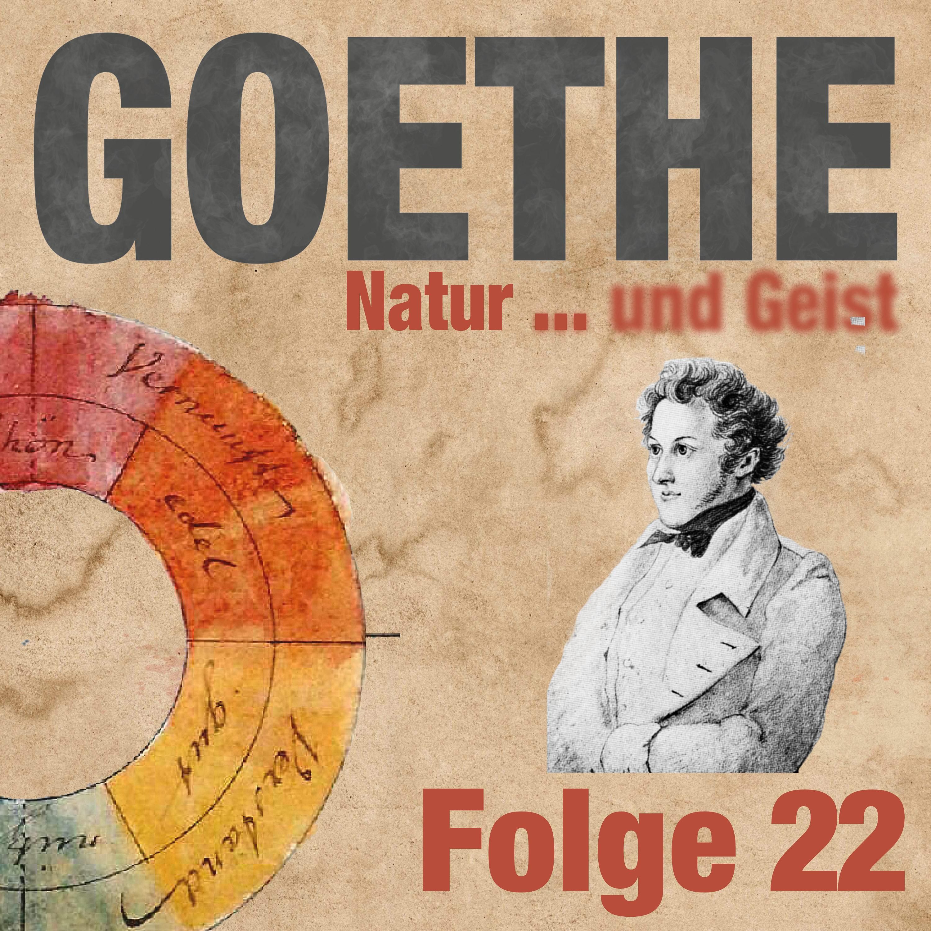 Goethes Helfer: die Tragik des August von Goethe
