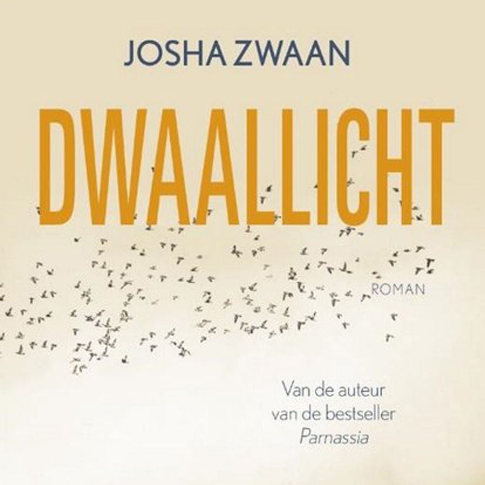 Dwaallicht