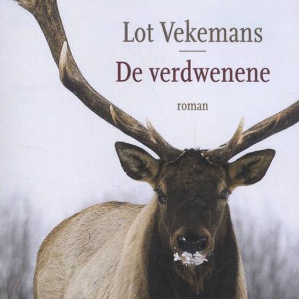 De verdwenene