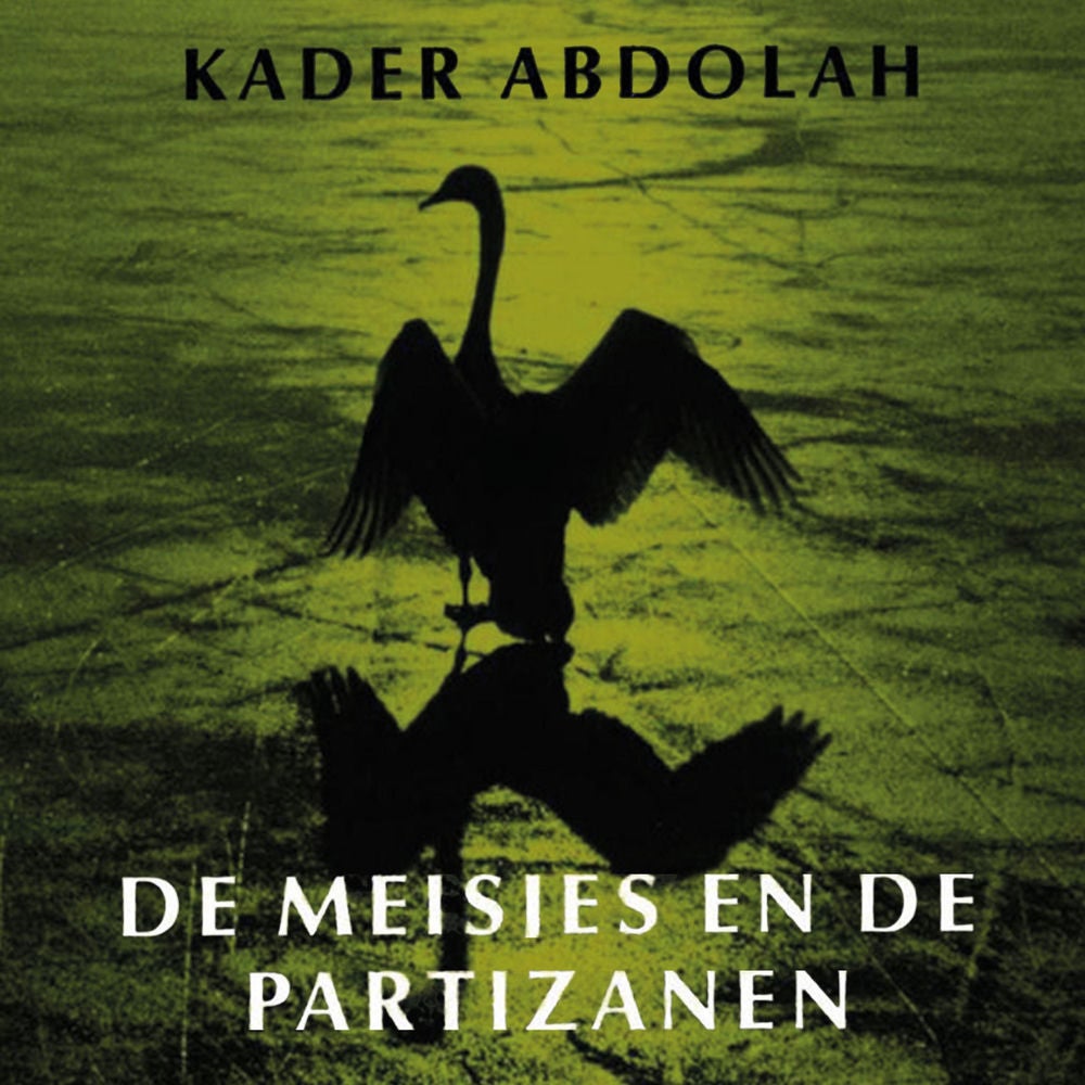 De meisjes en de partizanen