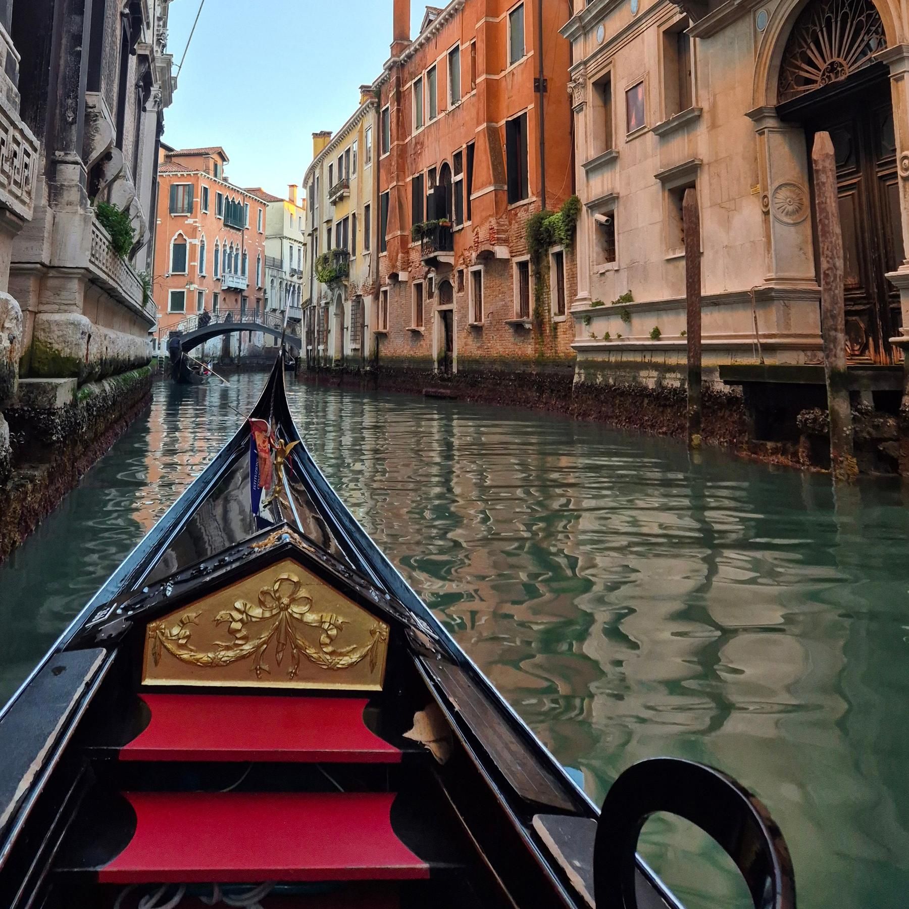Commissario Brunetti: Vendetta (2/2): Donna Leon Venedig-Krimi