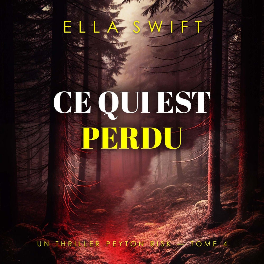Ce qui est perdu (Un thriller Peyton Risk — tome 4)
