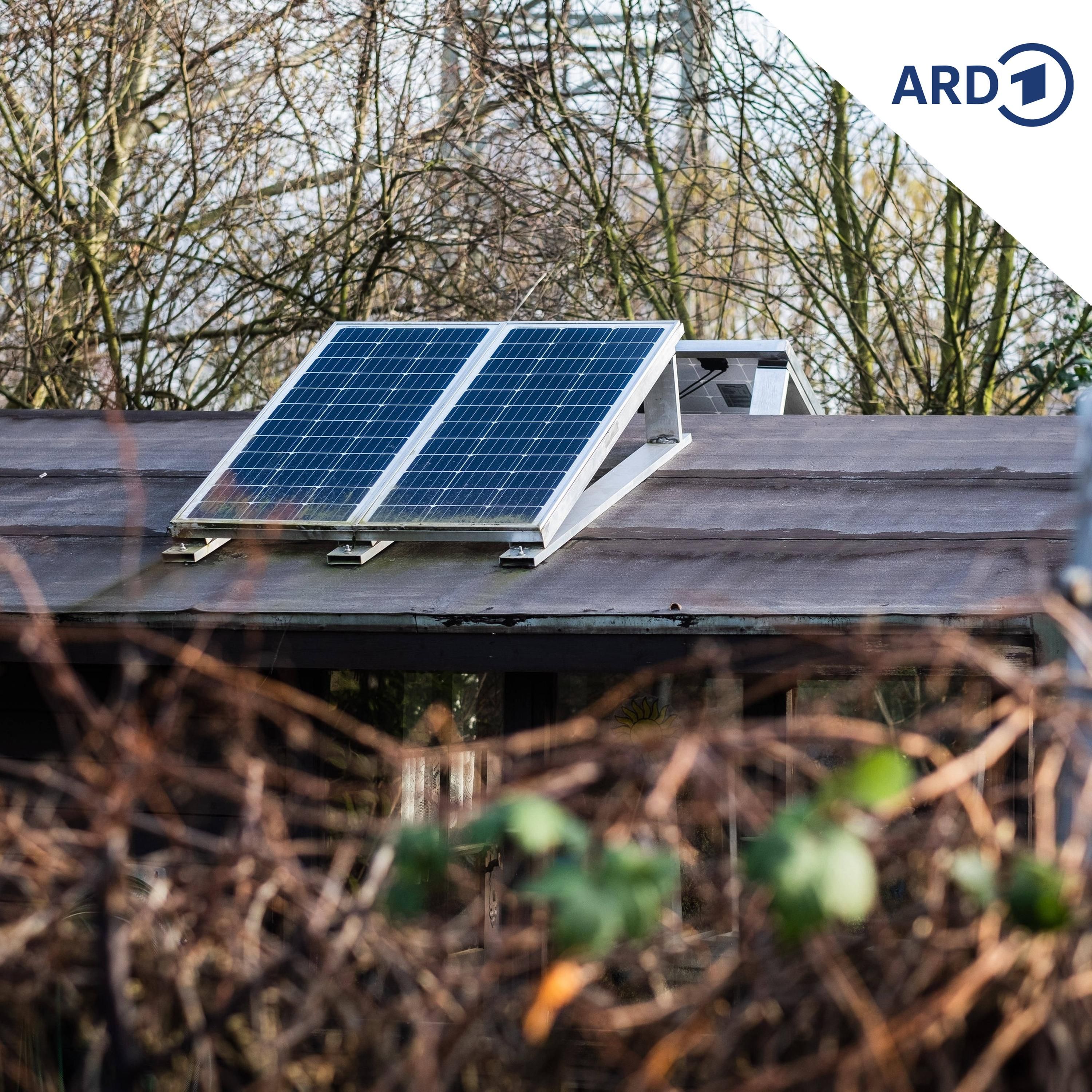 Haben Kleingärtner ein Recht auf eine Solaranlage?