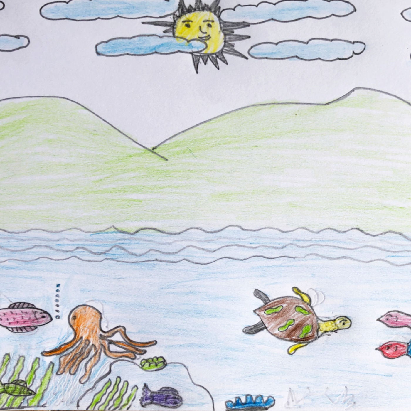 Kadavu | Durch Kinderbilder das Meer verstehen