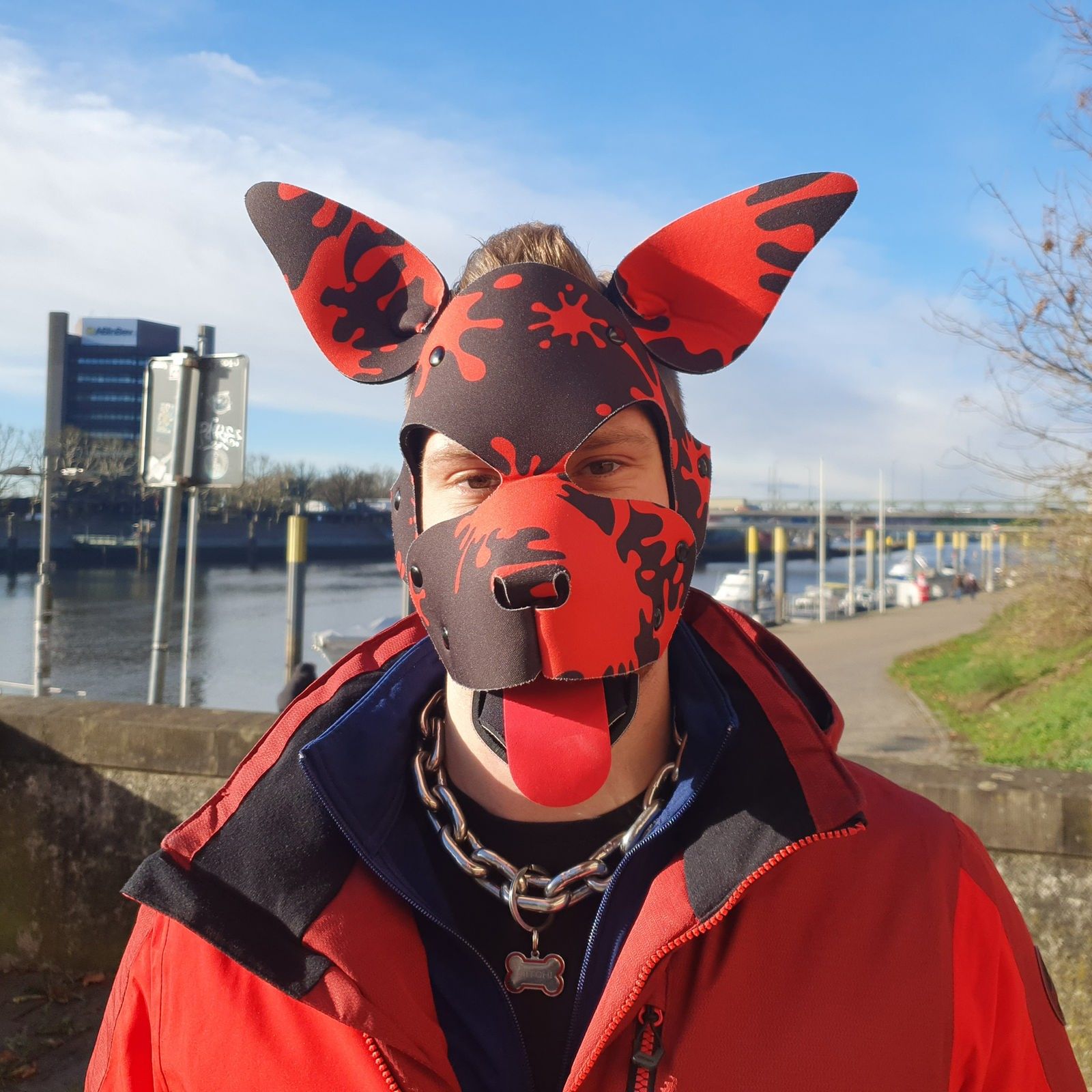Leben mit Hundemasken